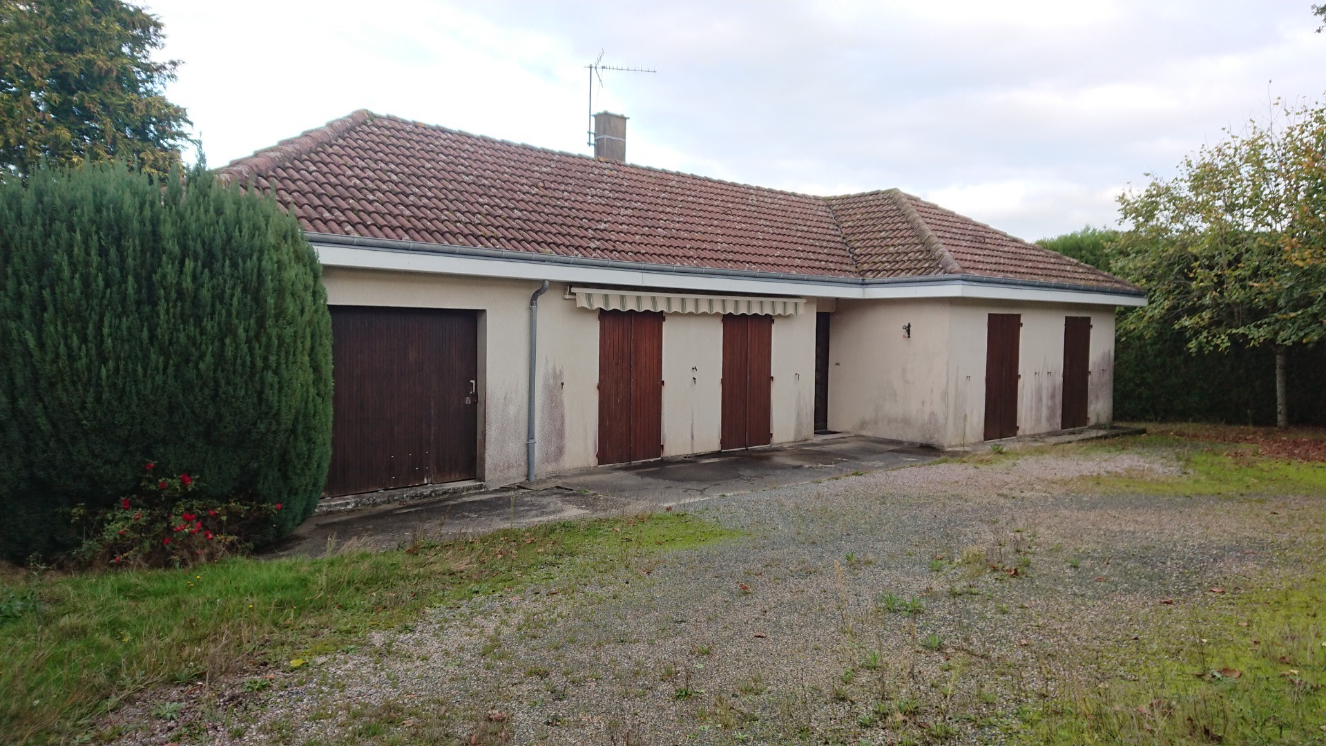 Maison
