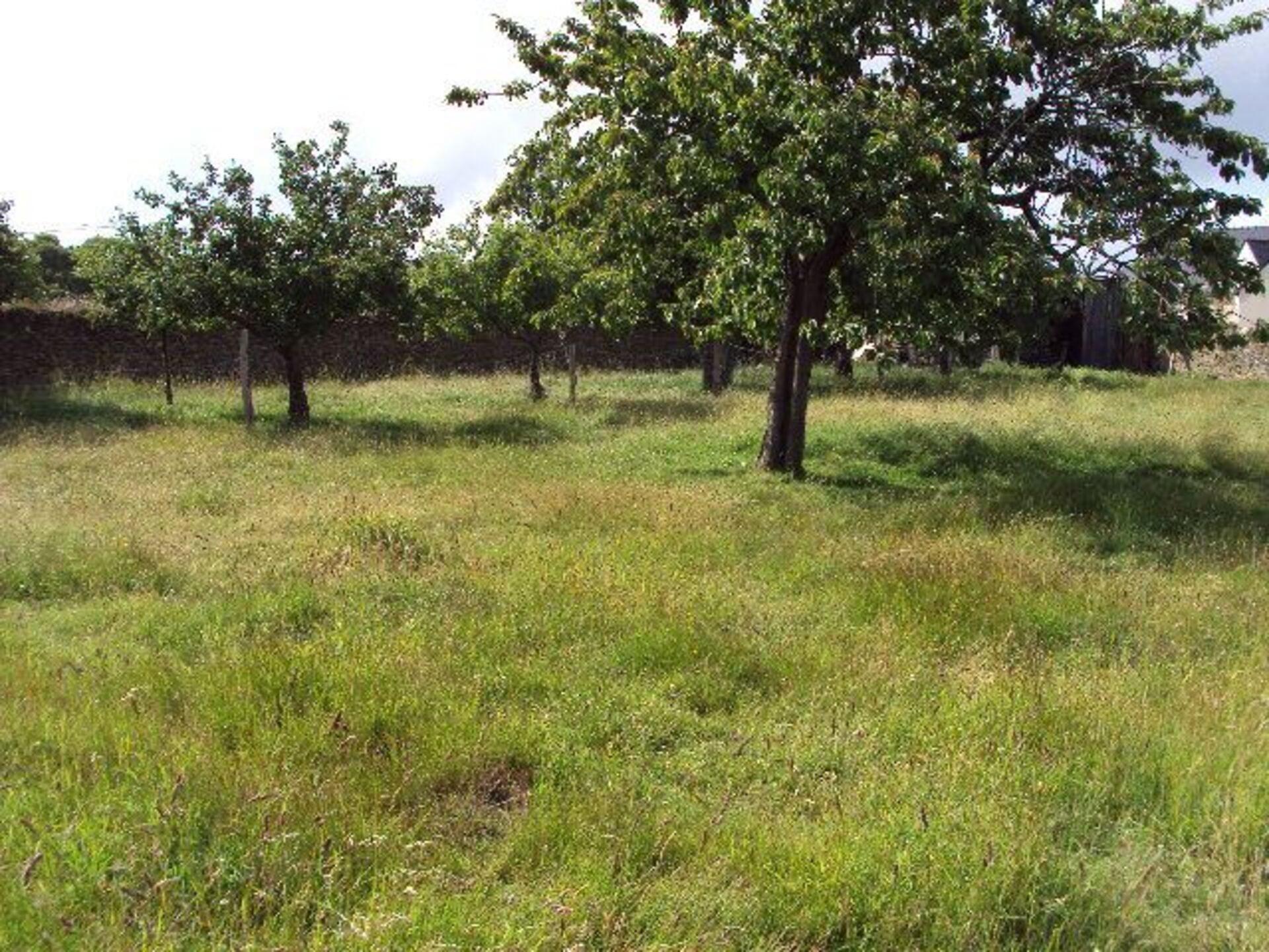 Terrain