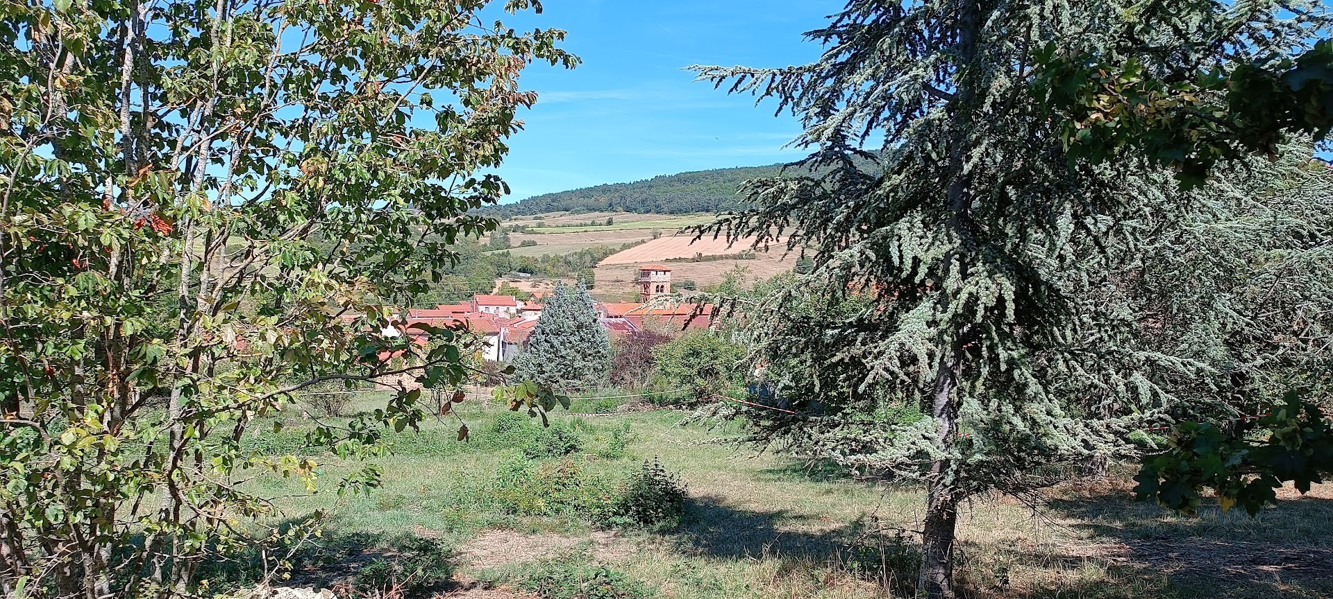 Terrain