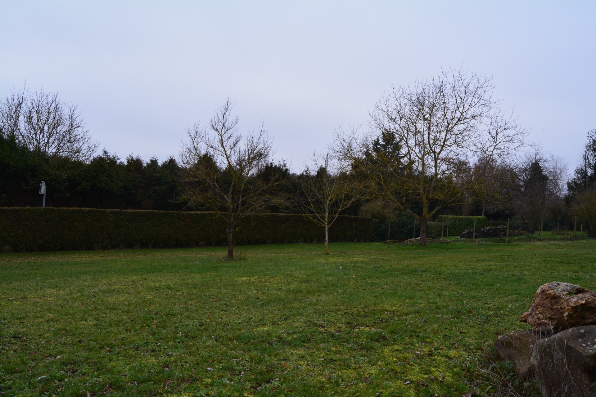 Terrain
