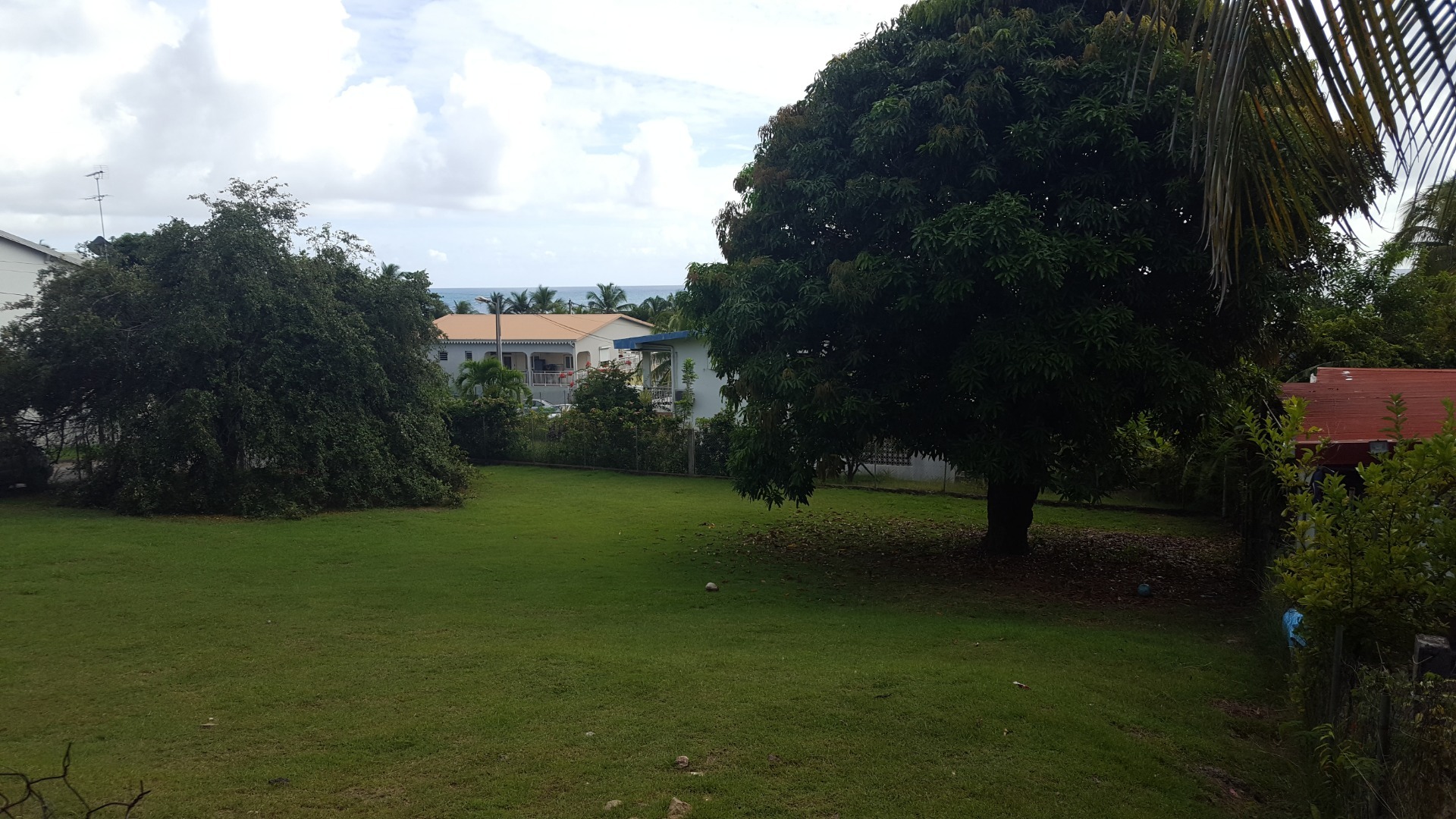 Terrain