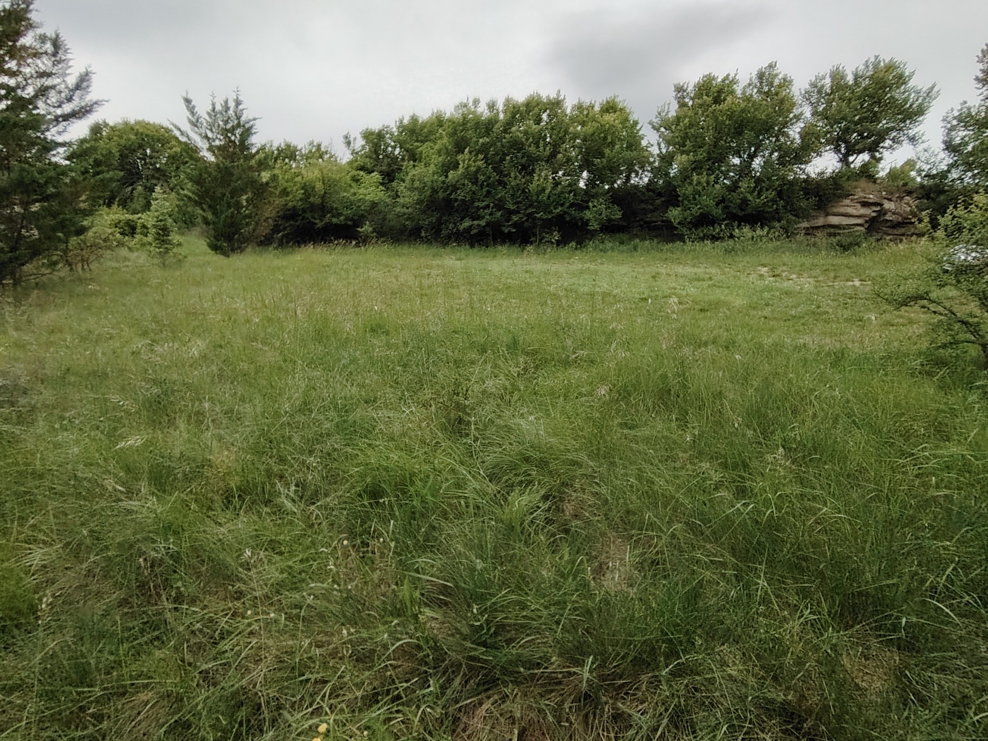 Terrain