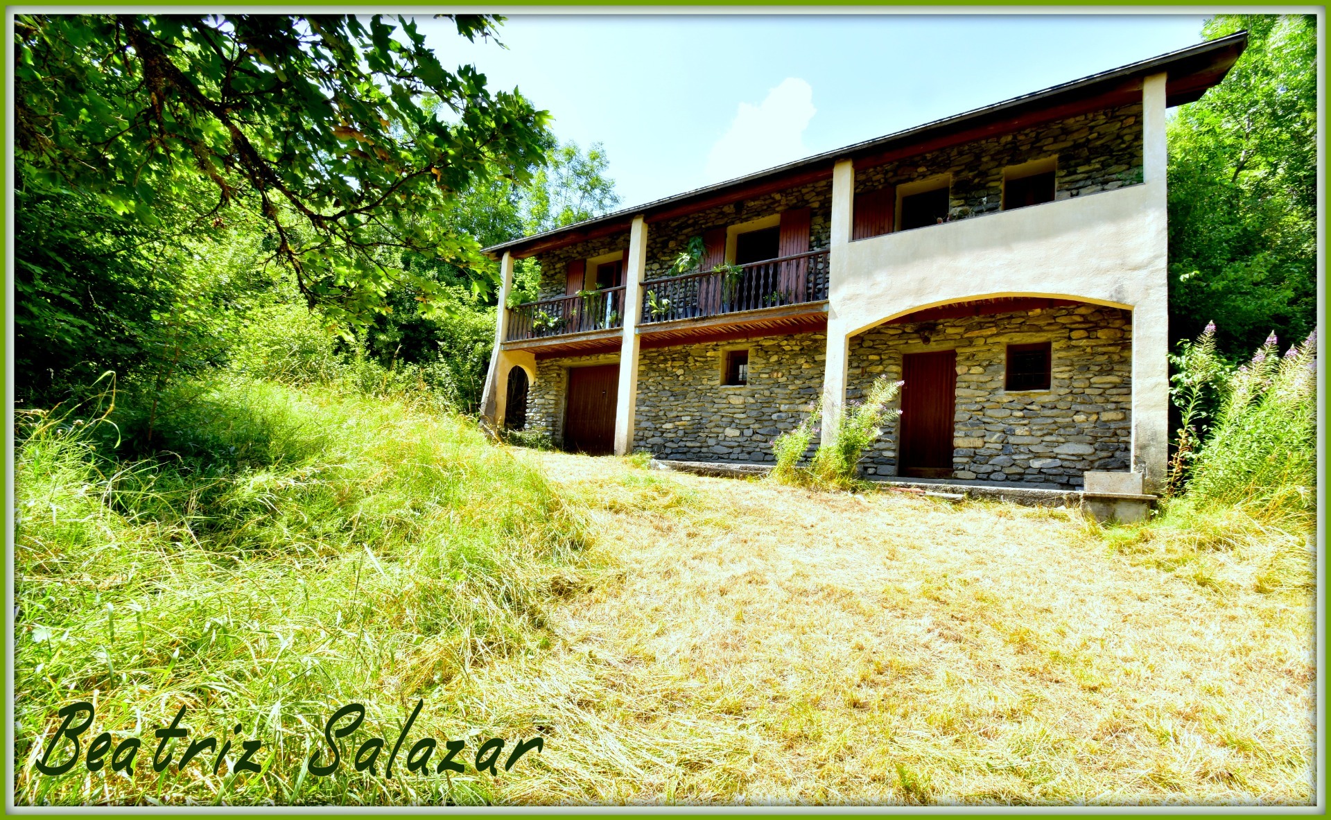 Maison