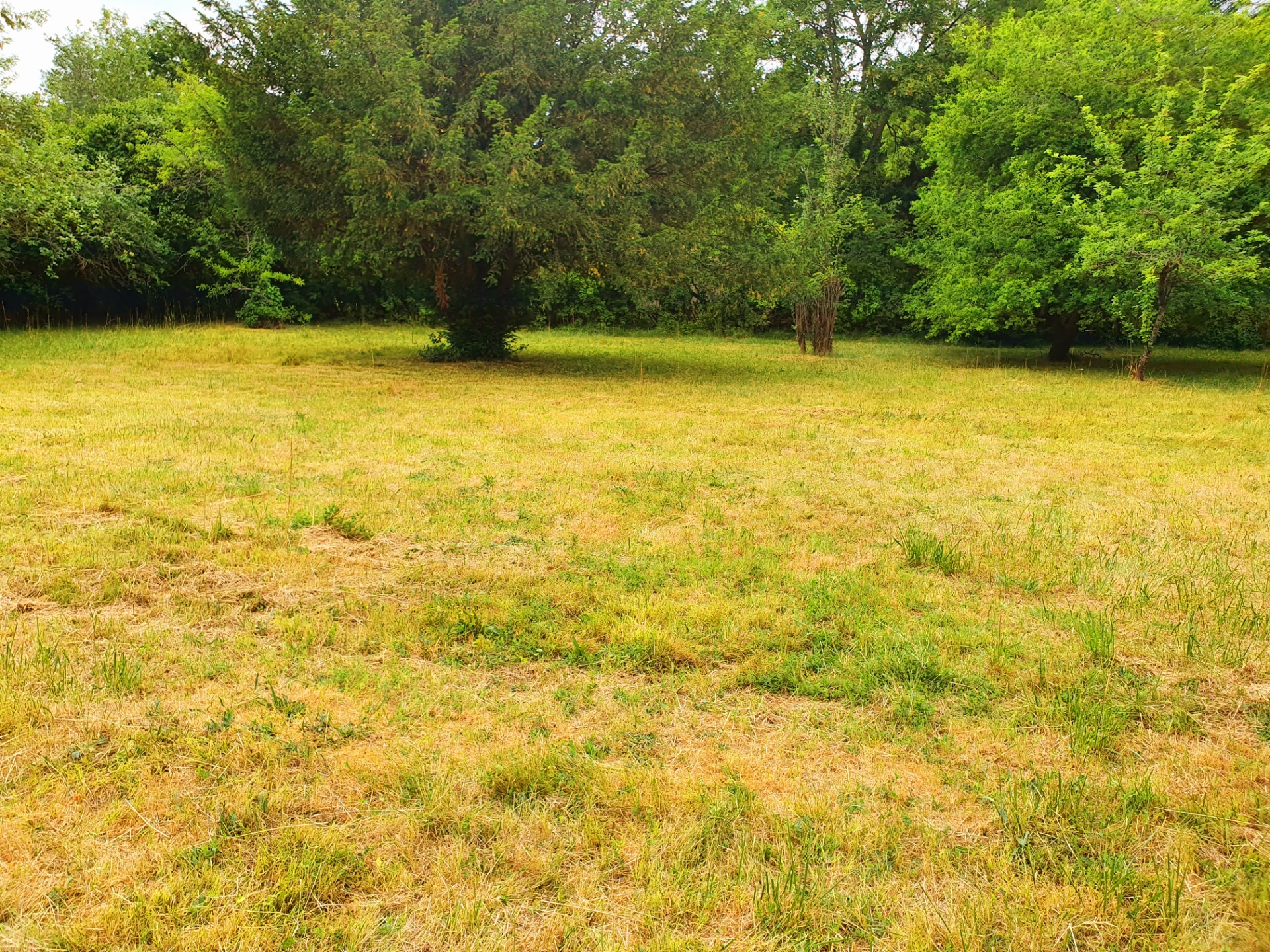 Terrain