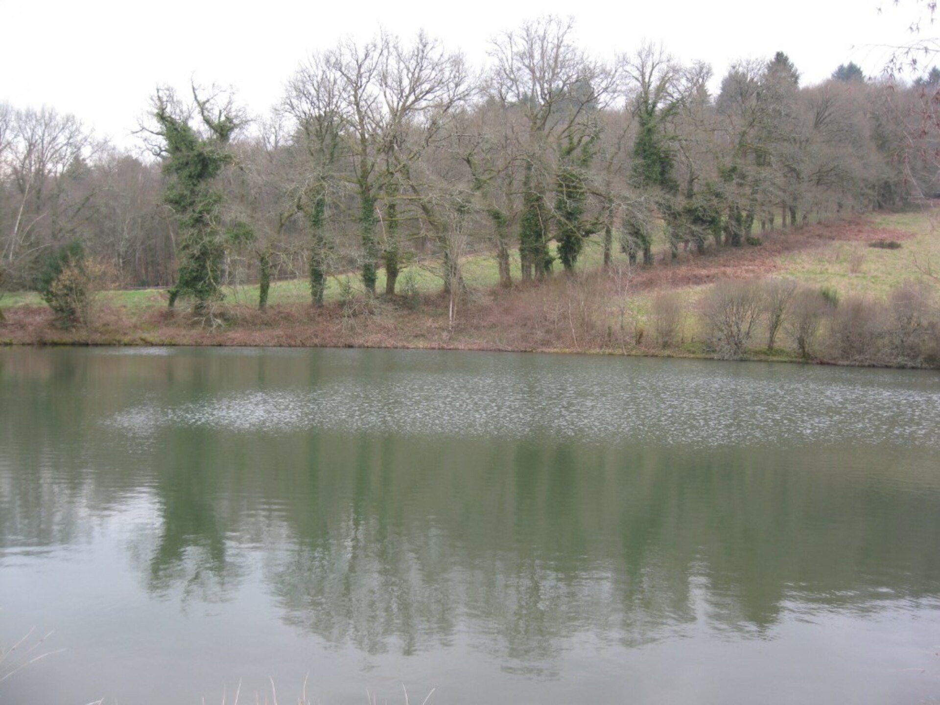 Terrain