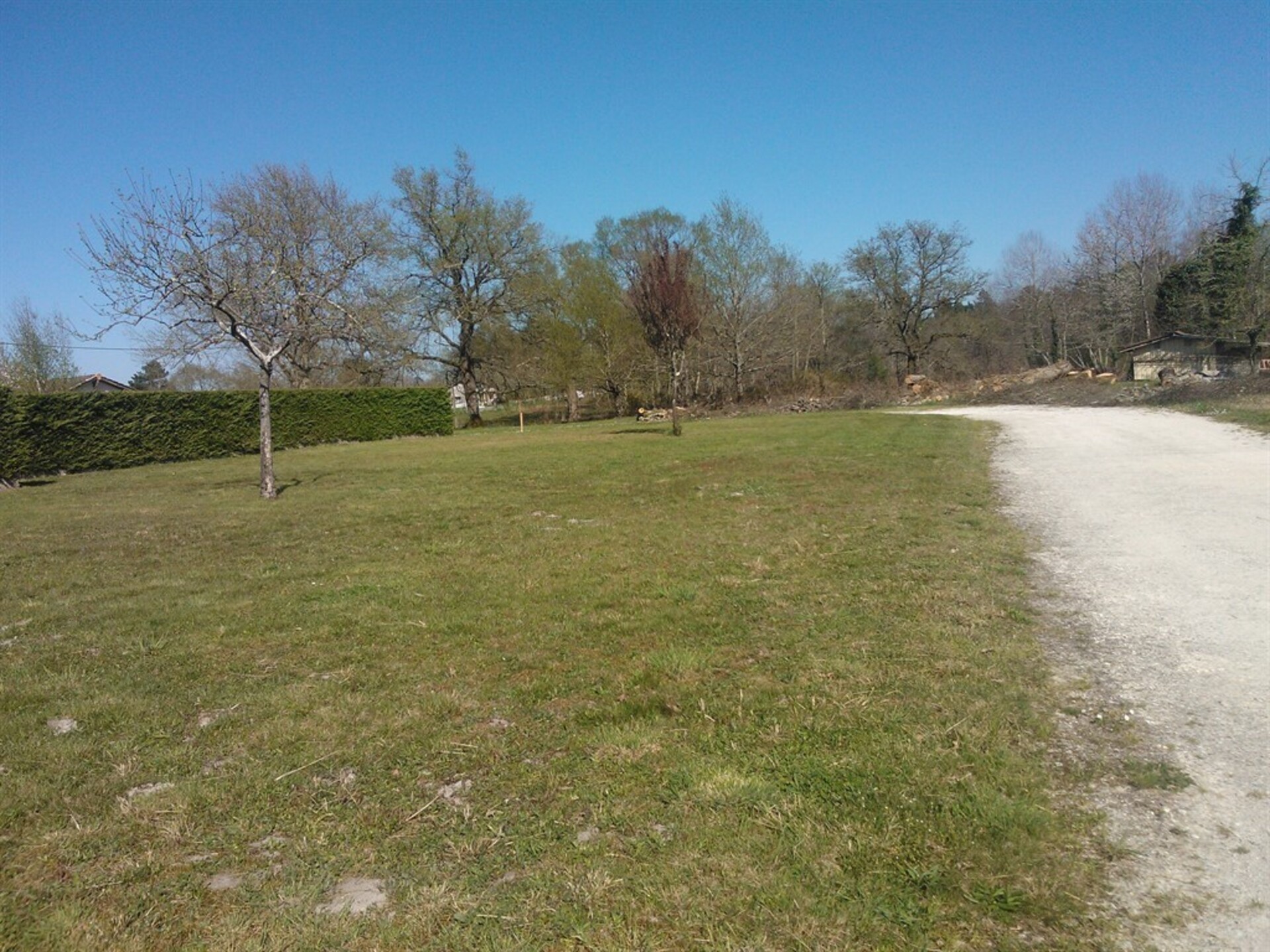 Terrain