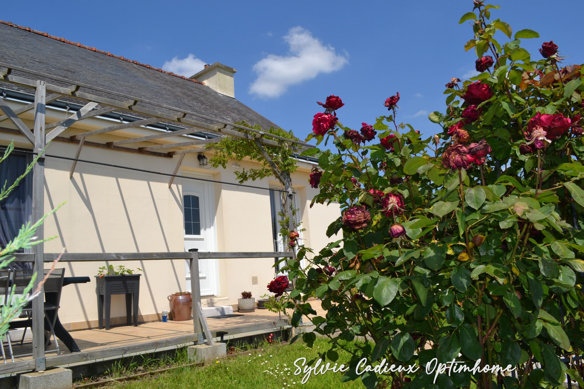 Maison
