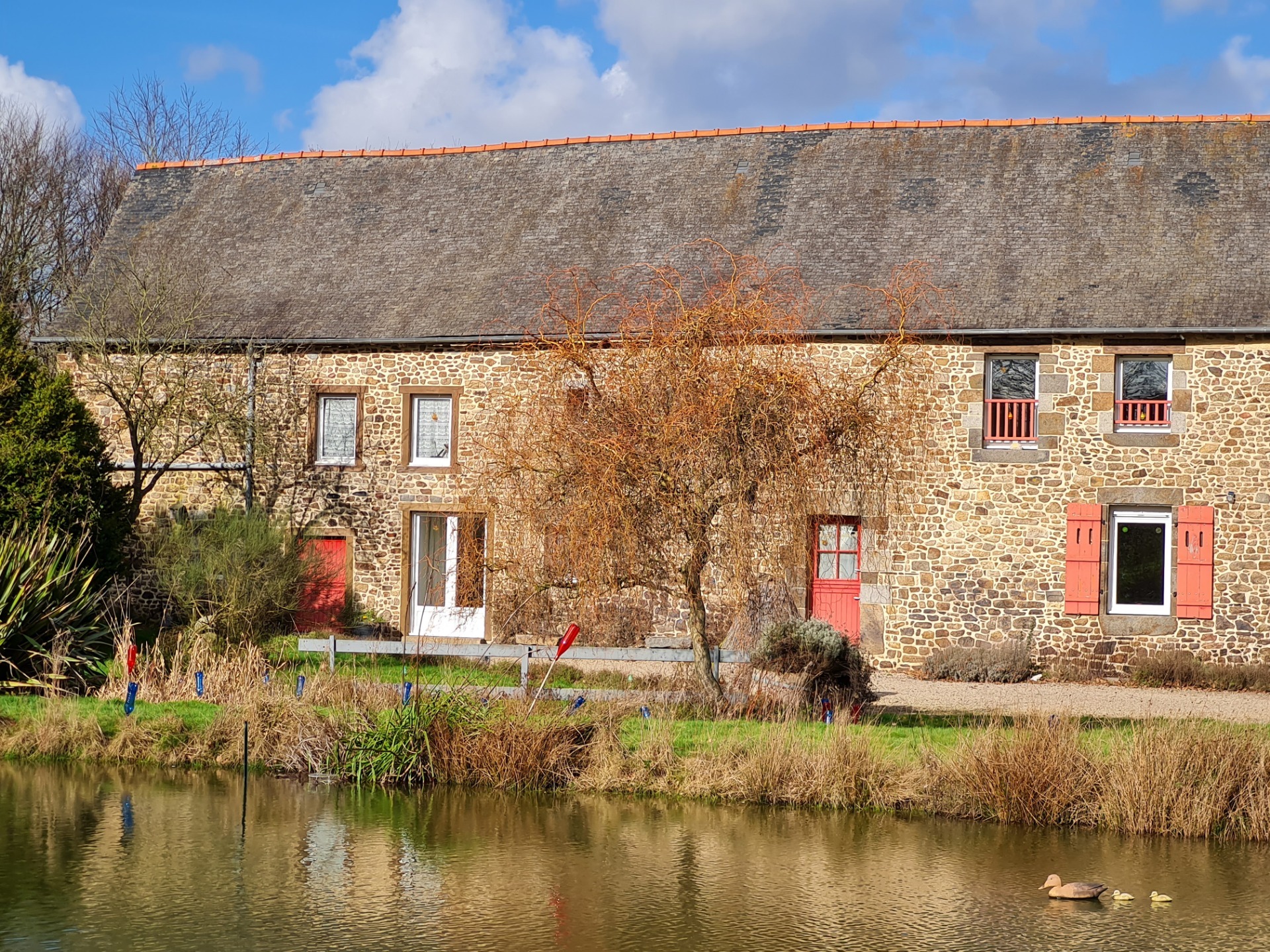 Maison