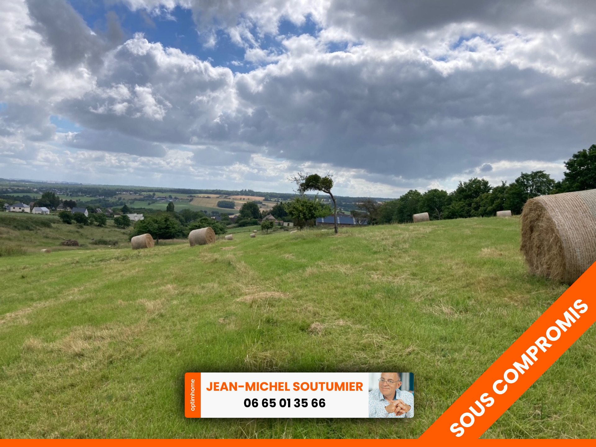 Terrain