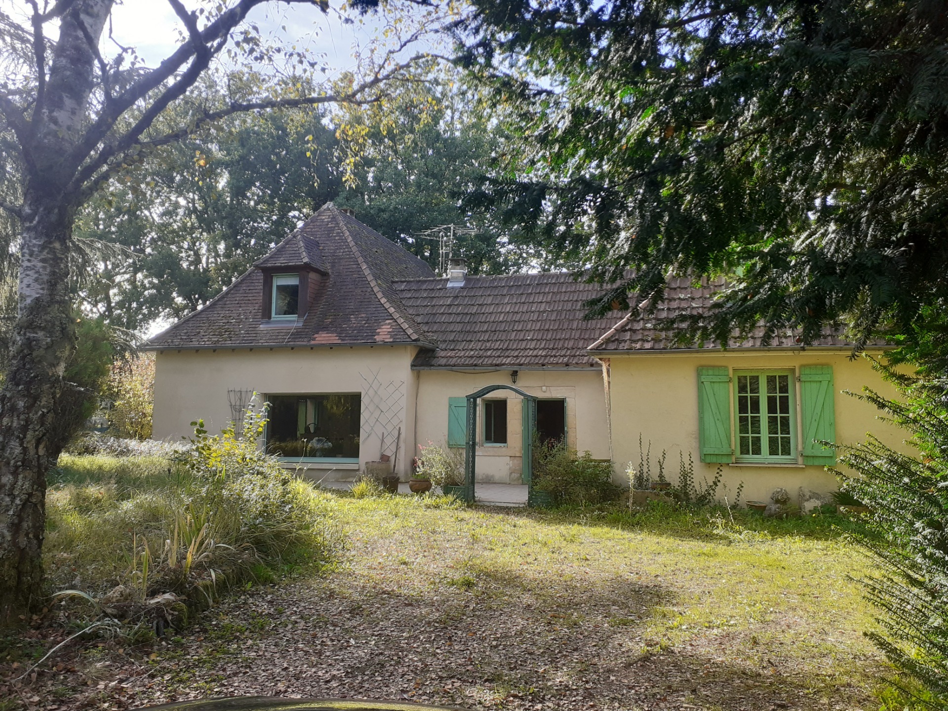Maison