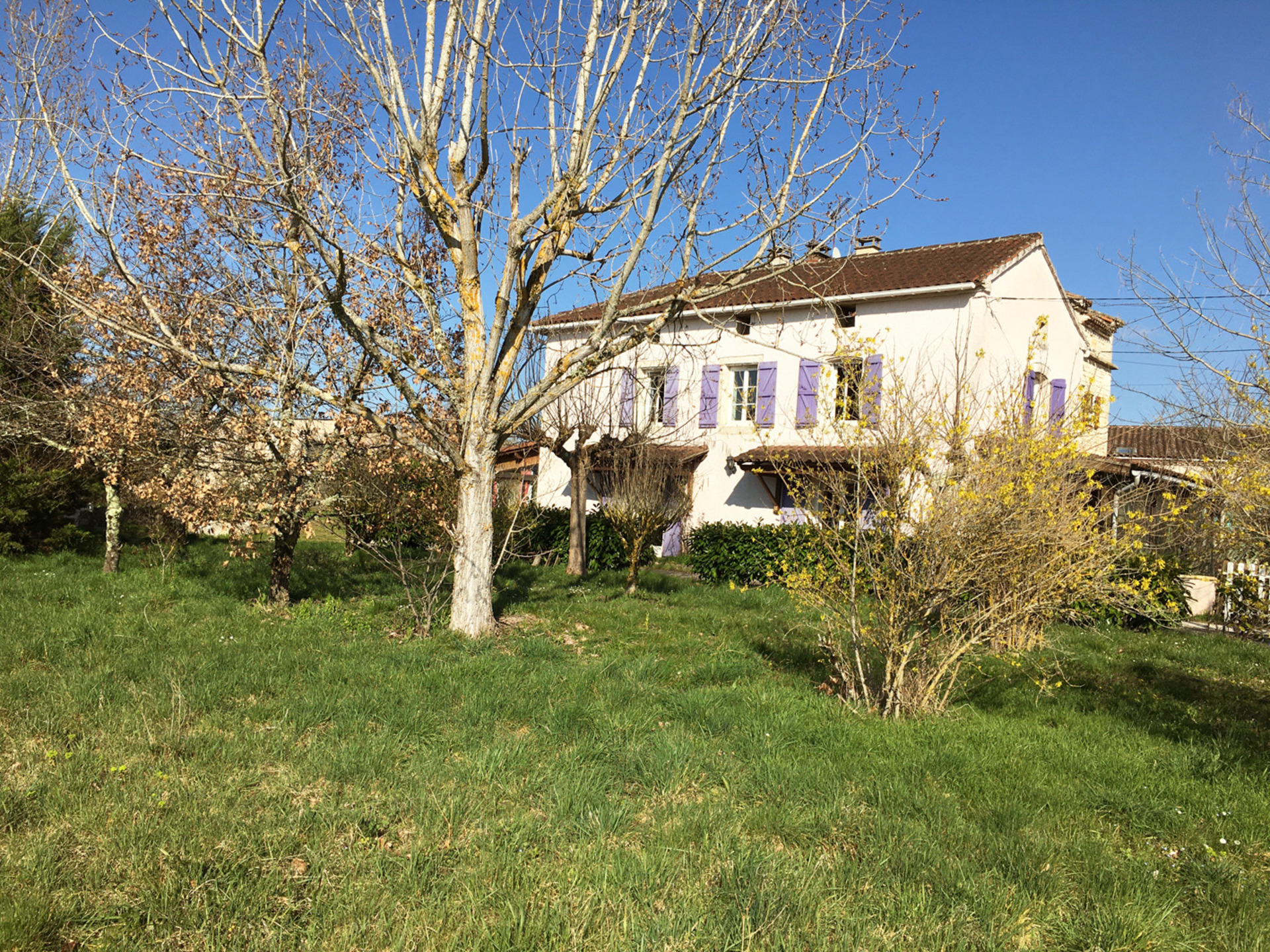Maison