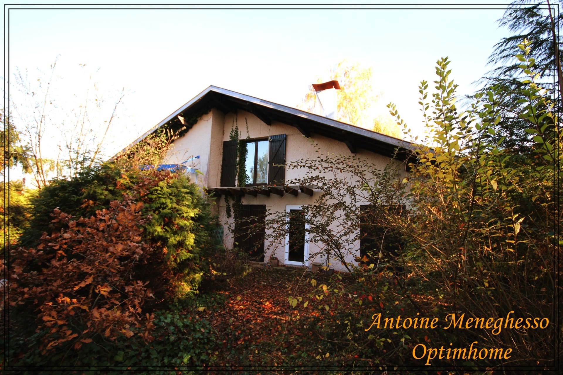Maison