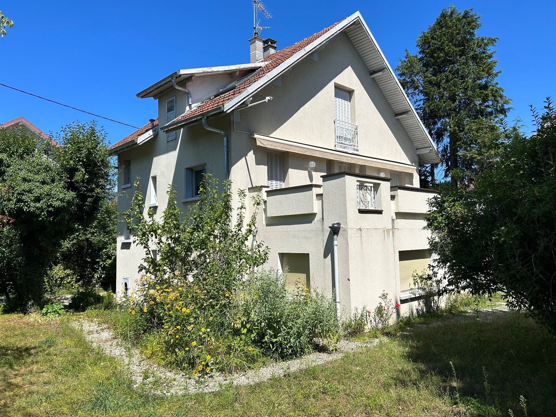 Maison