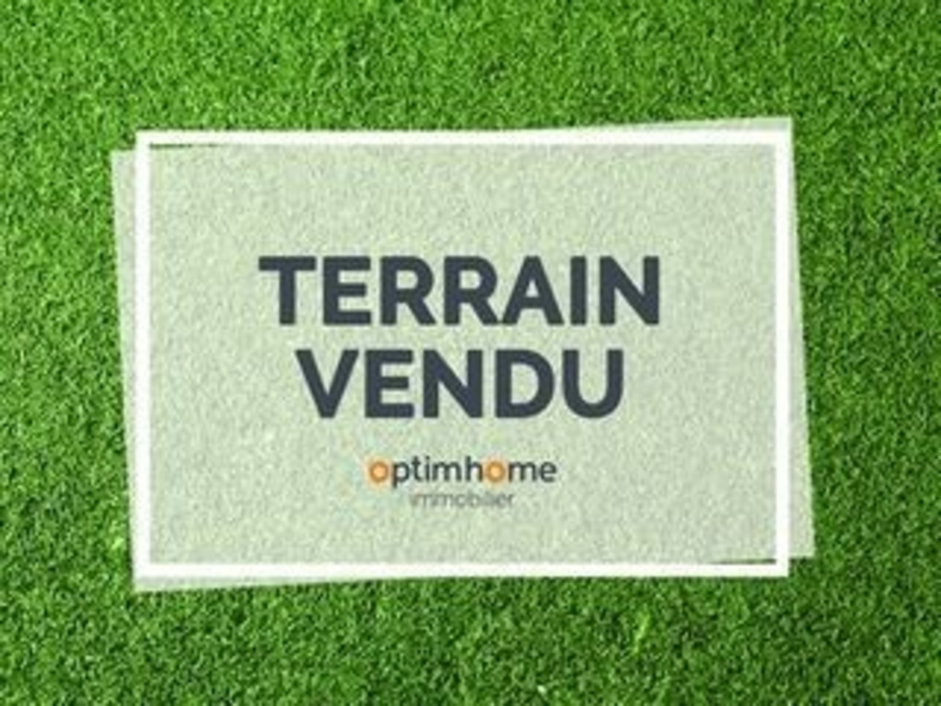 Terrain