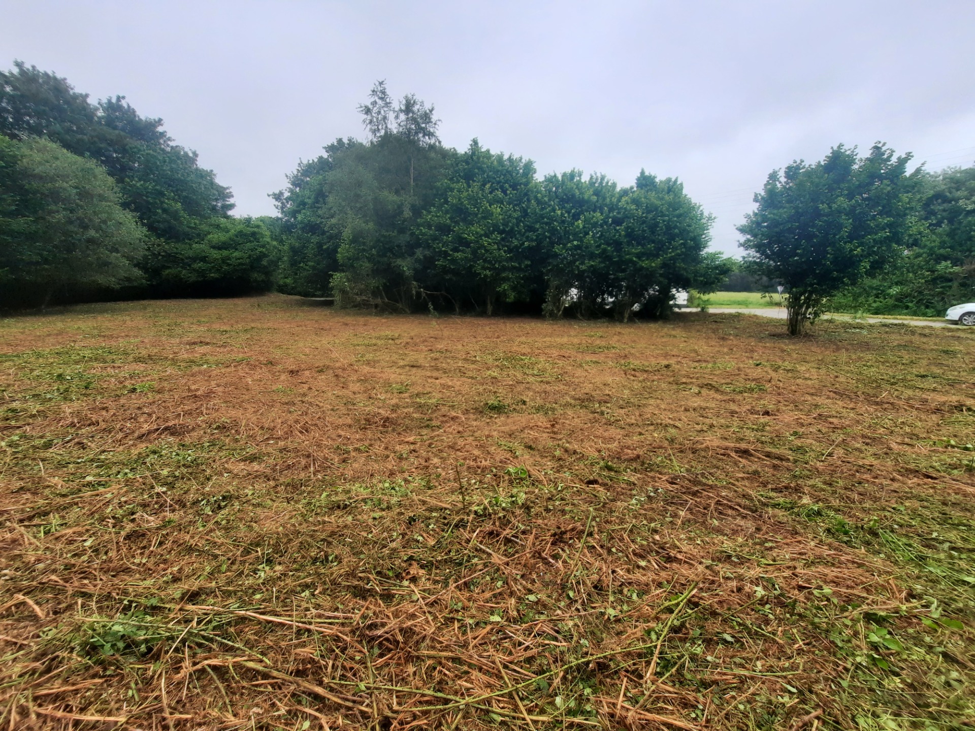 Terrain