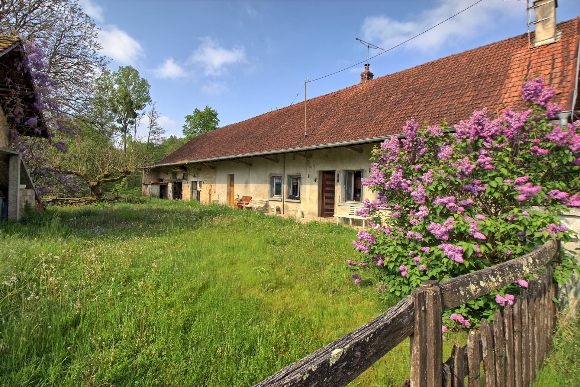 Maison