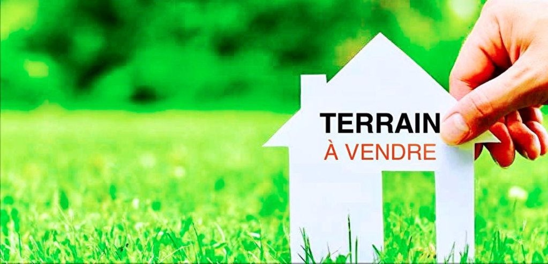 Terrain