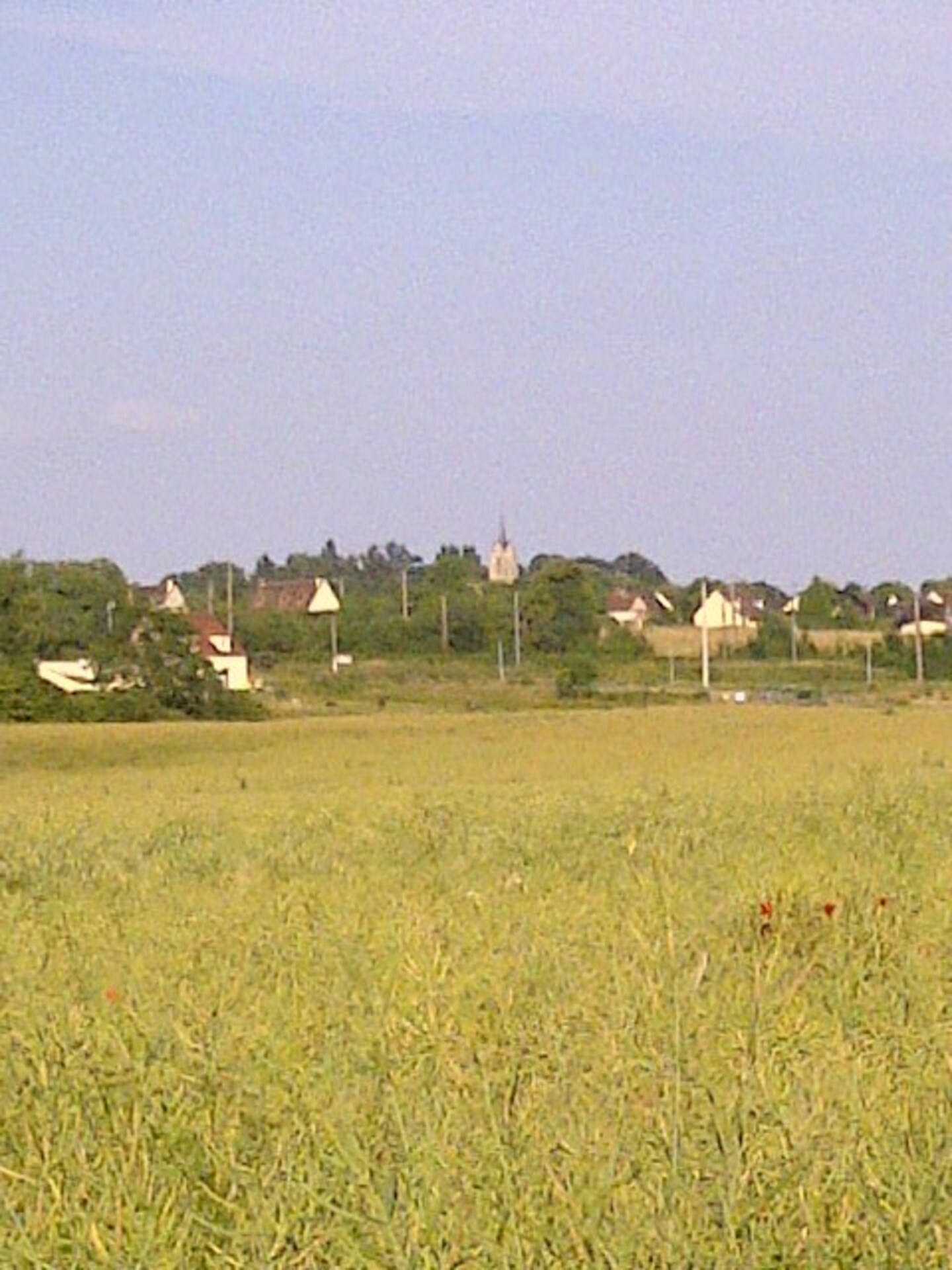 Terrain