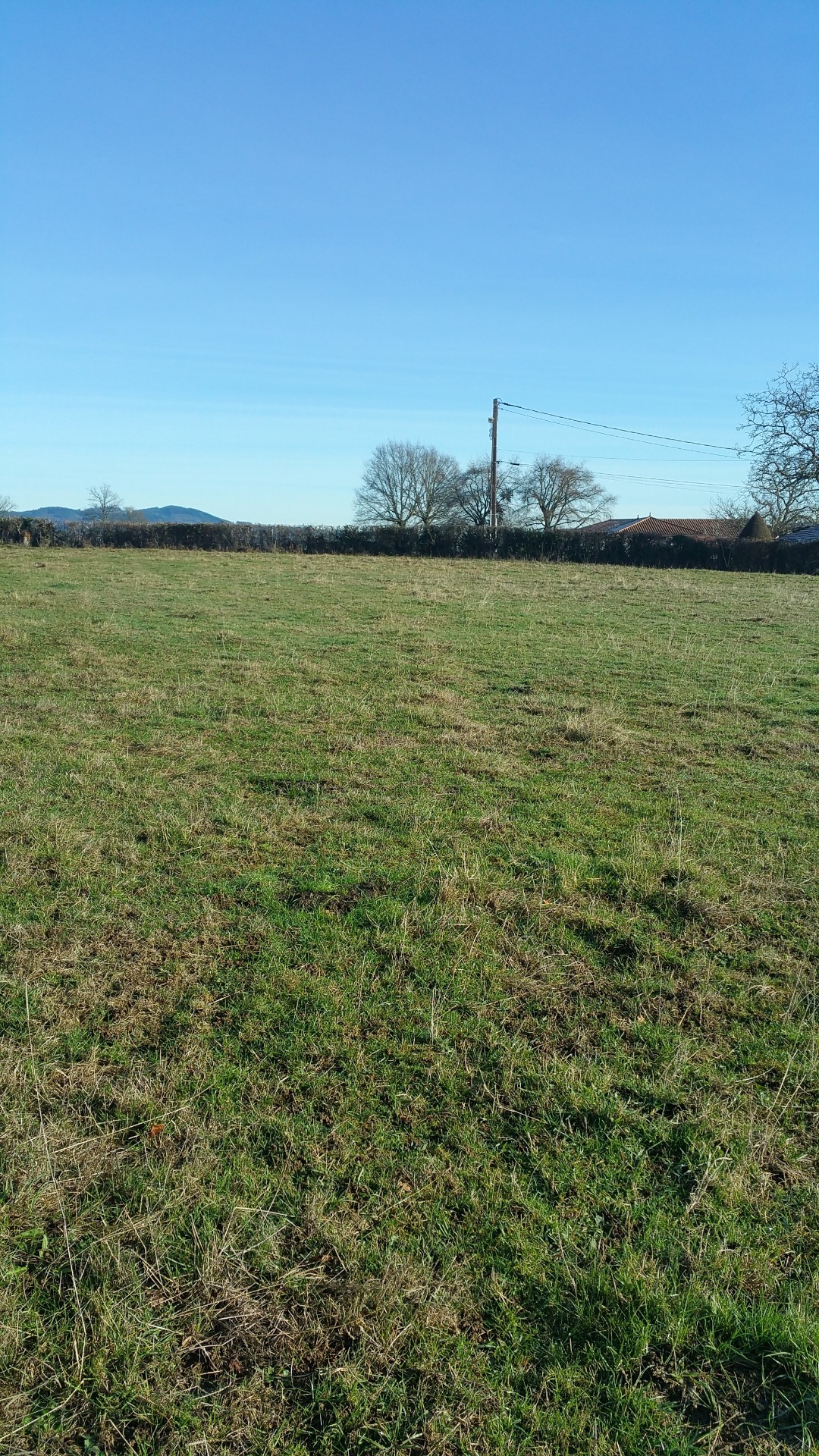 Terrain