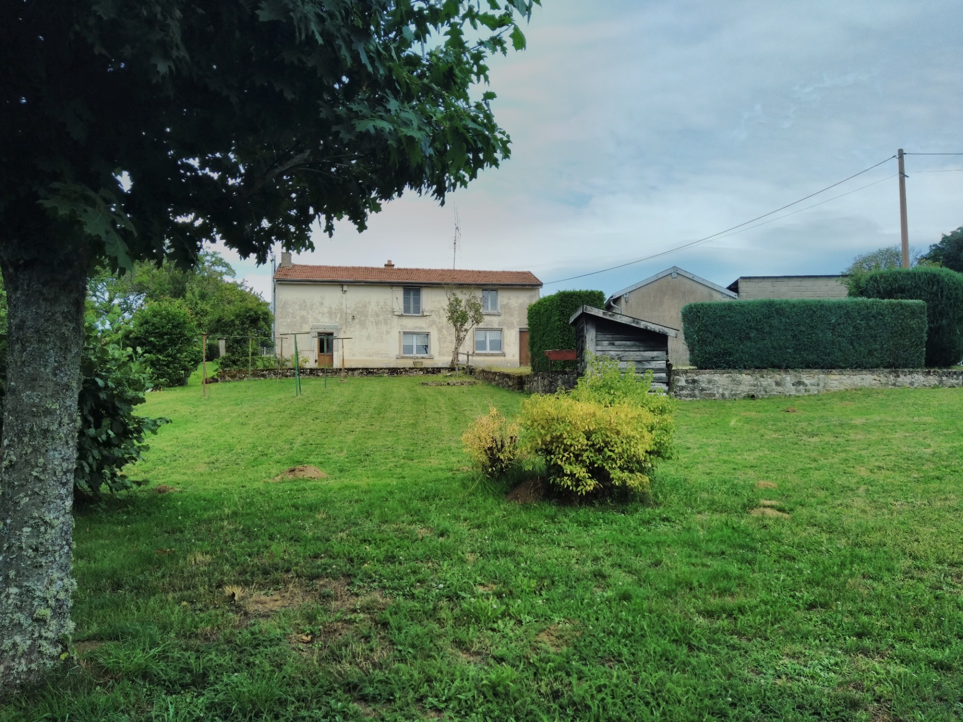 Maison