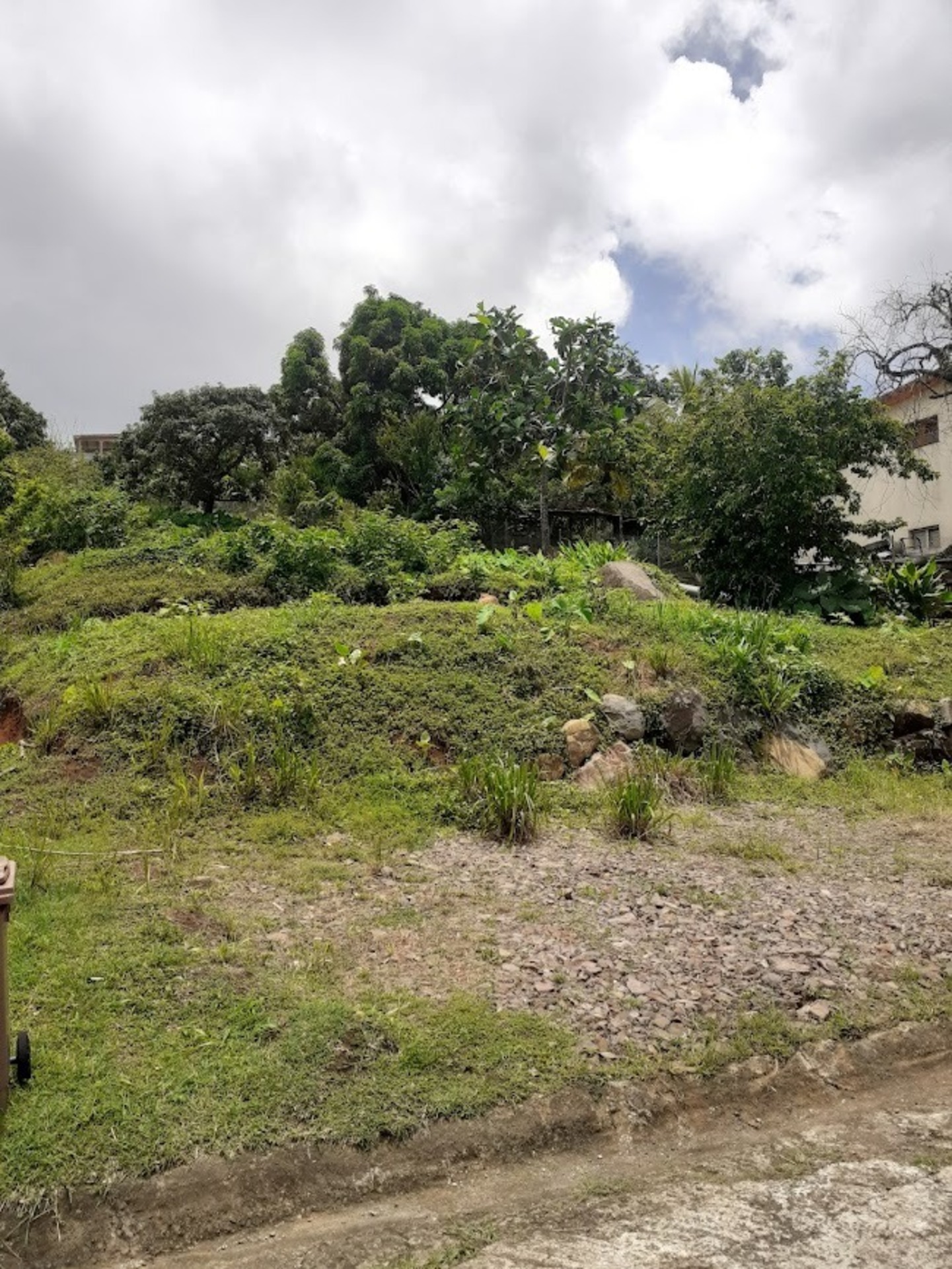 Terrain