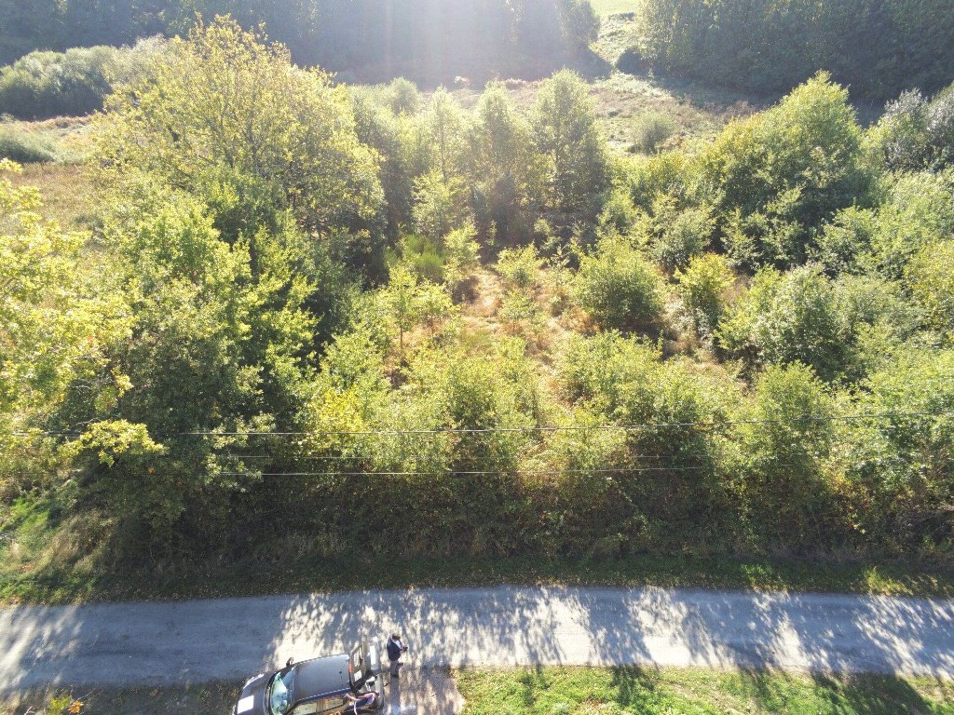 Terrain