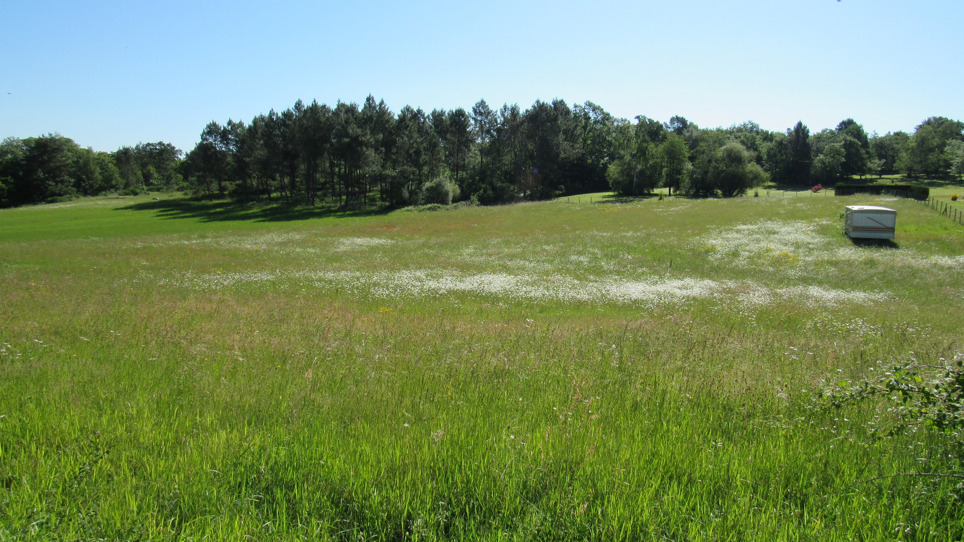 Terrain