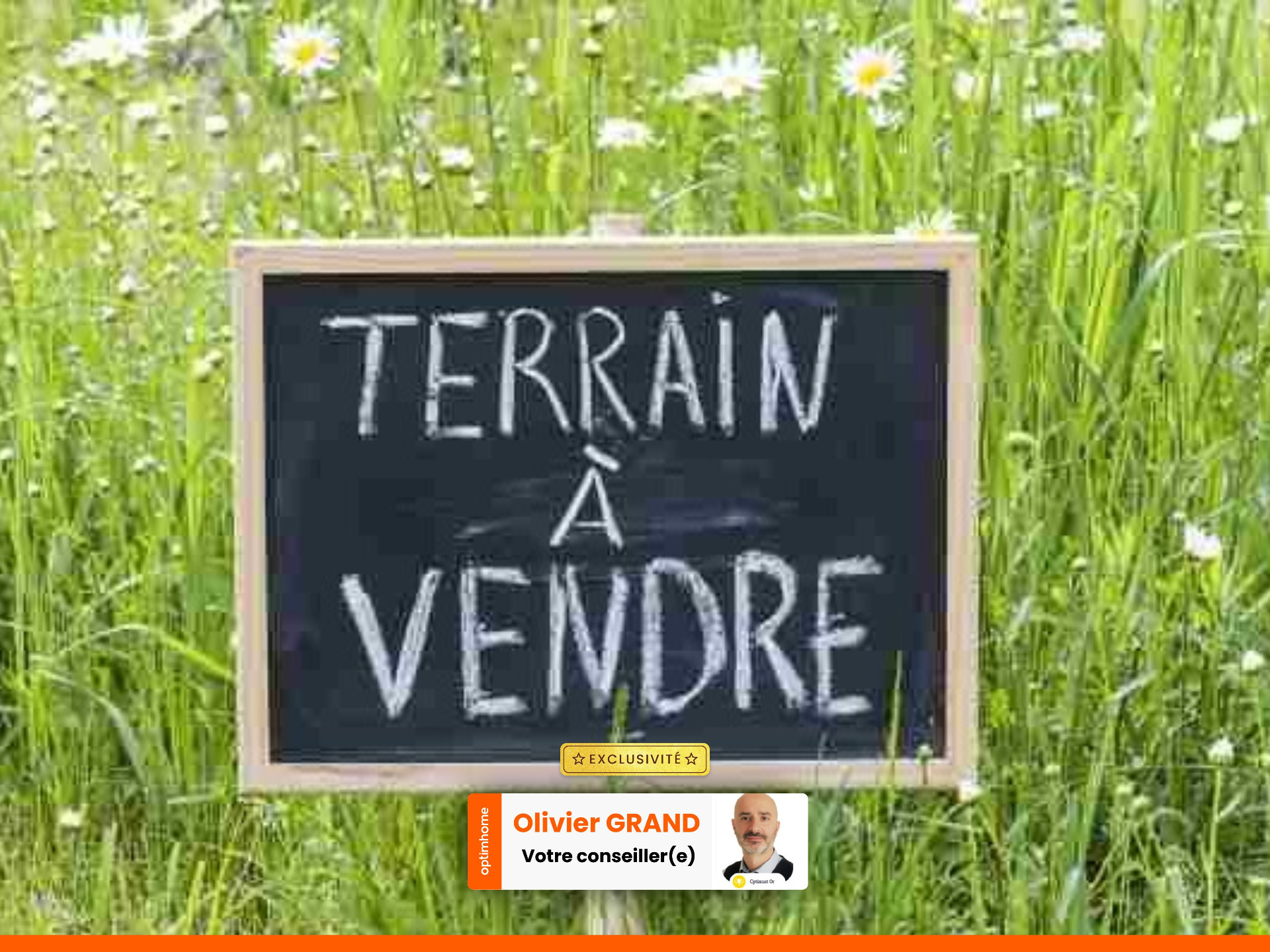 Terrain