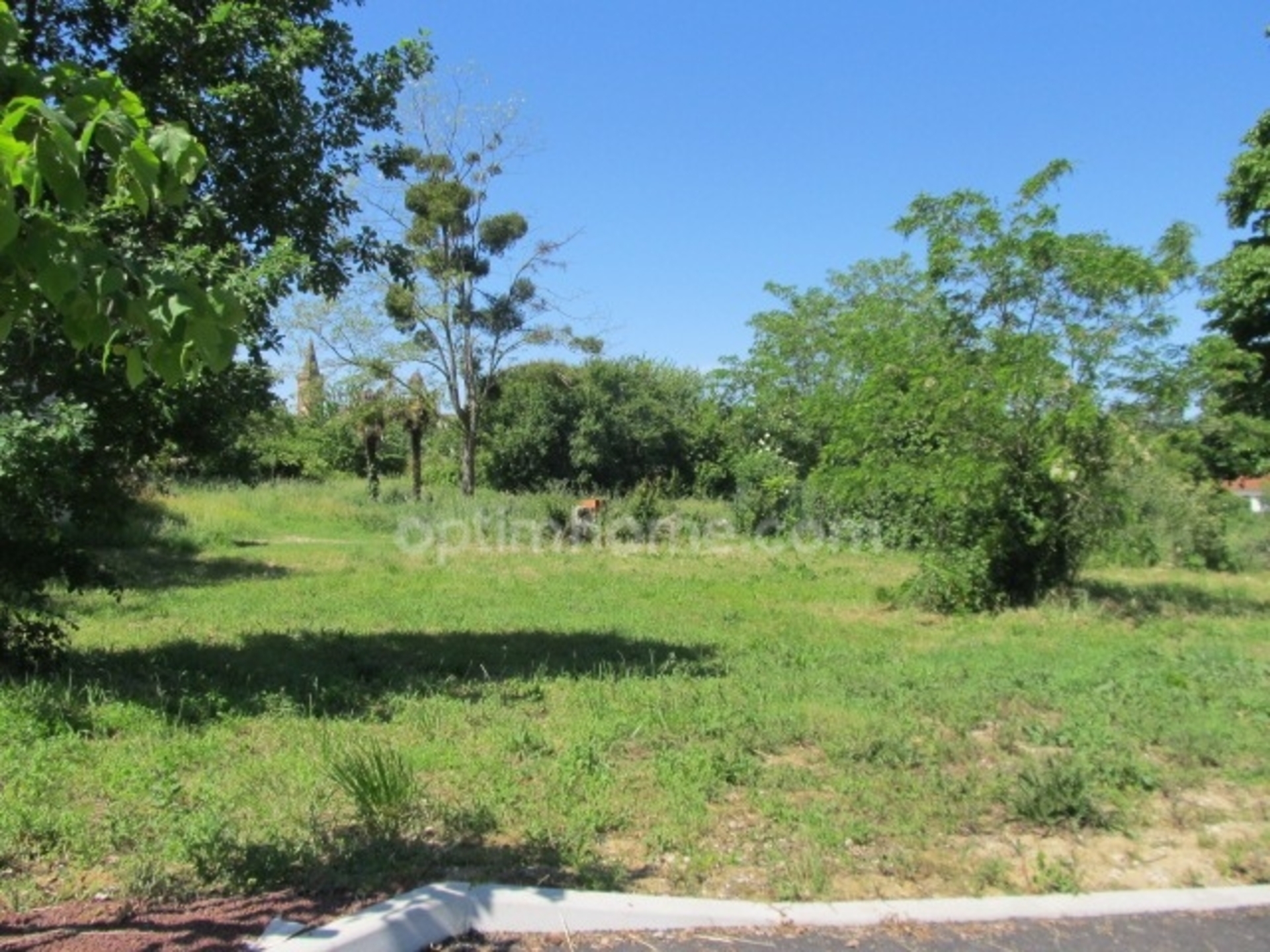 Land