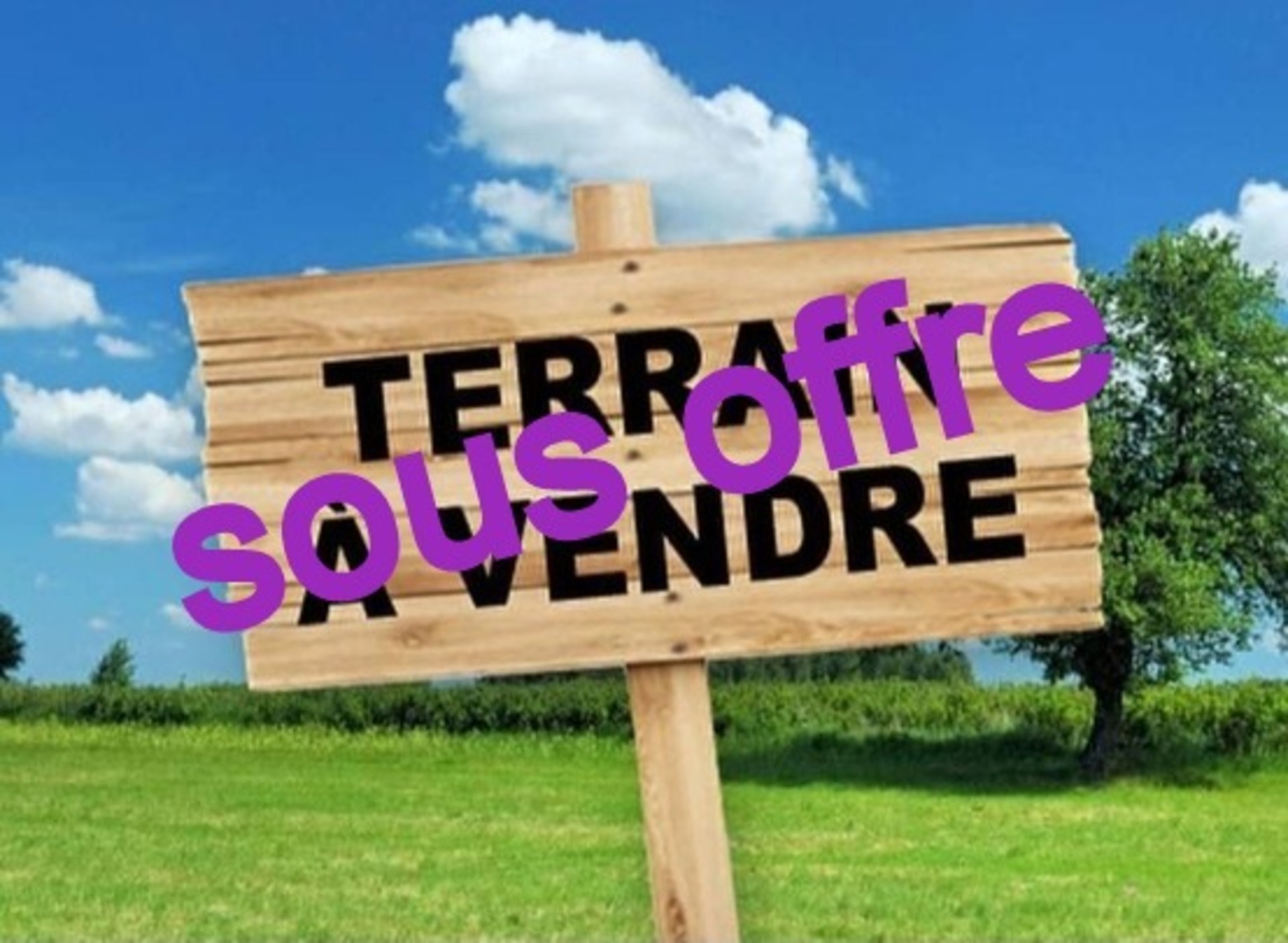 Terrain