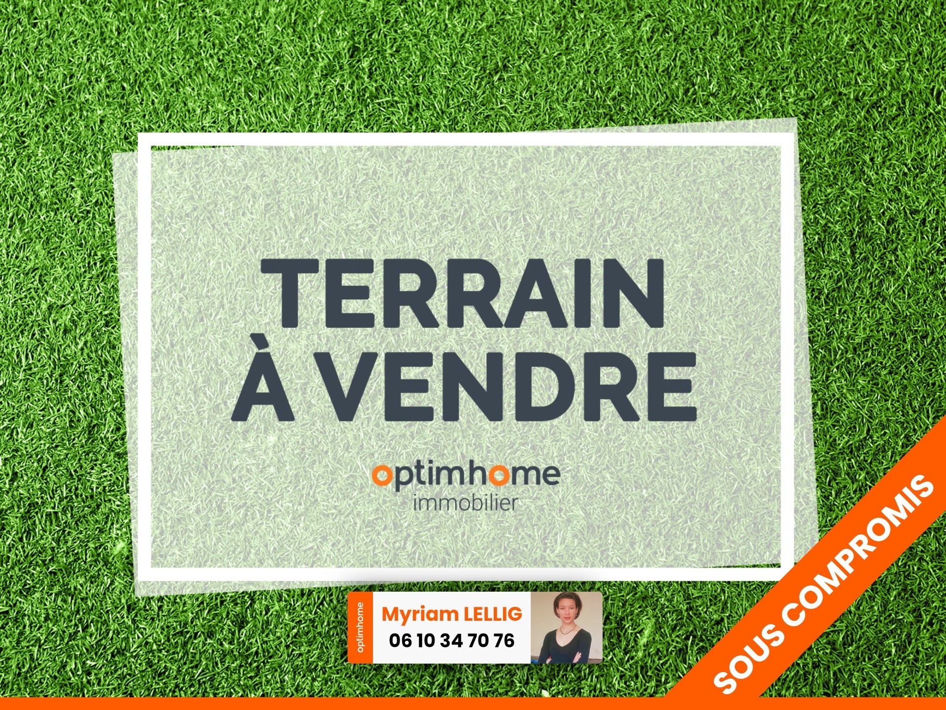 Terrain