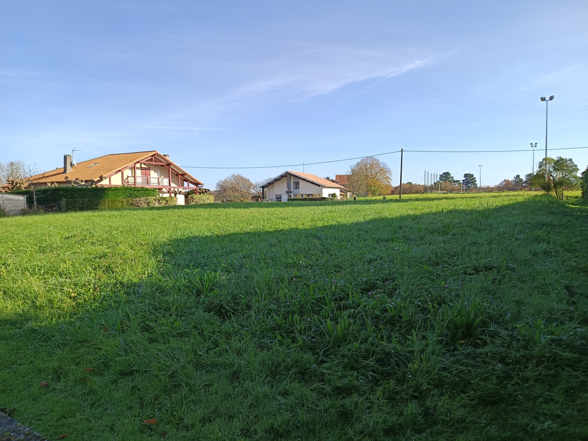 Terrain