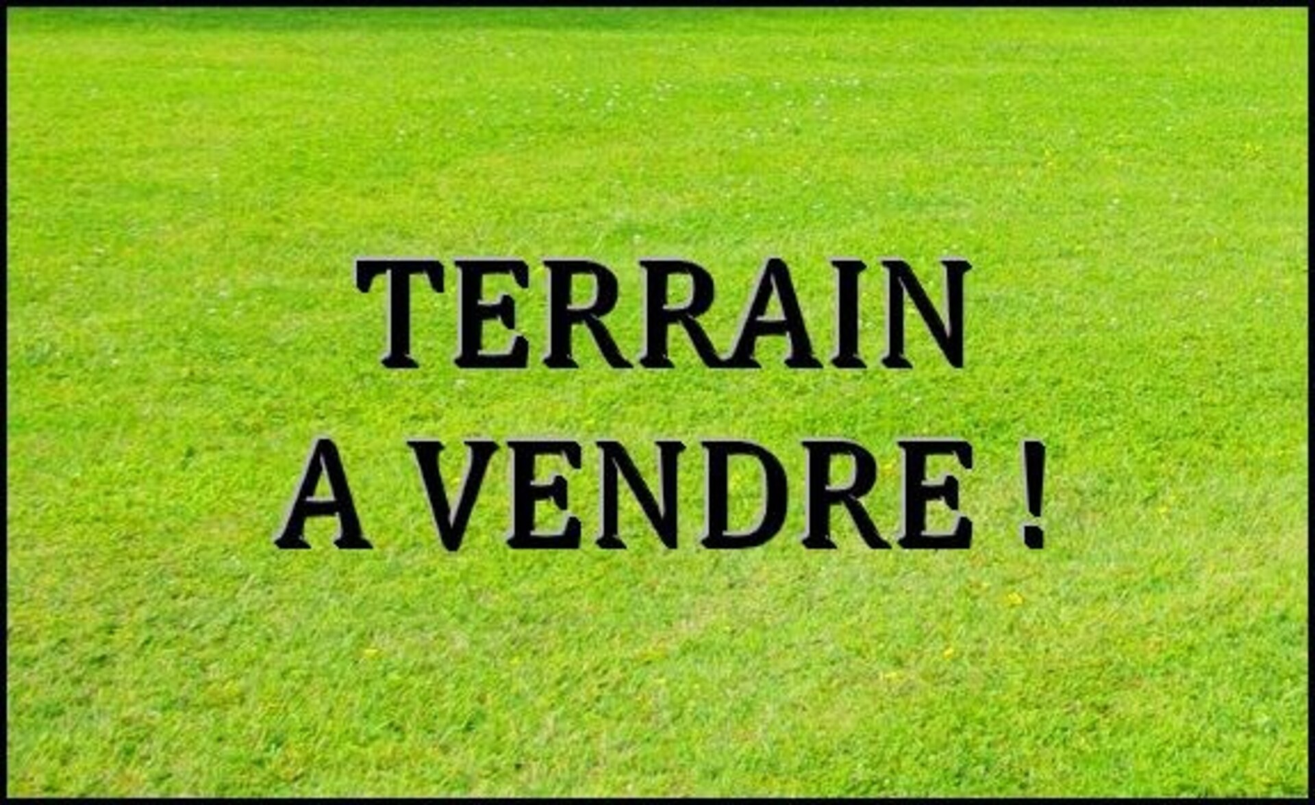 Terrain