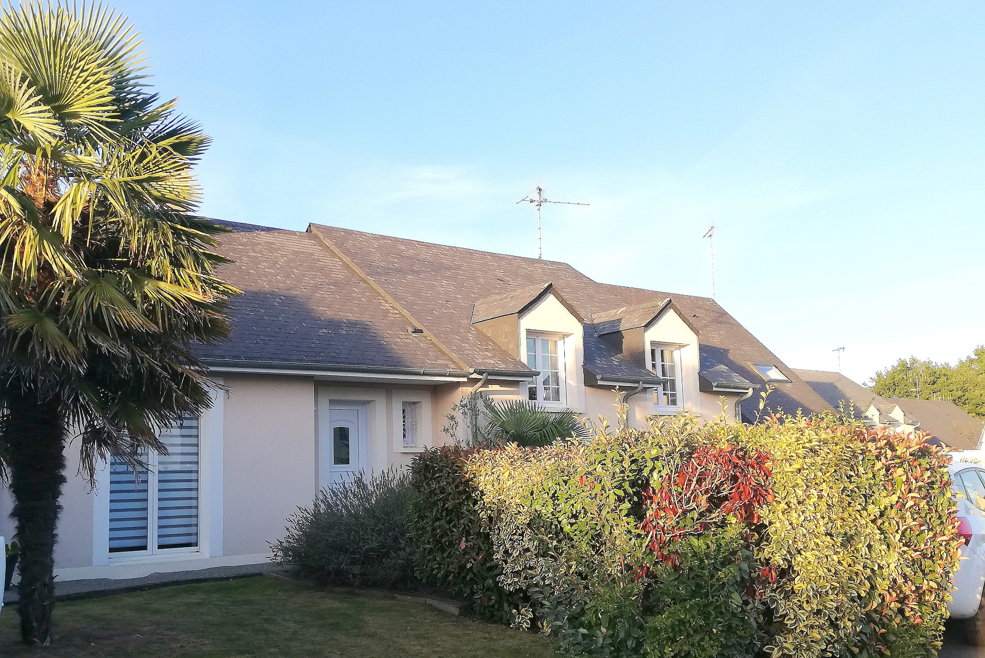 Maison