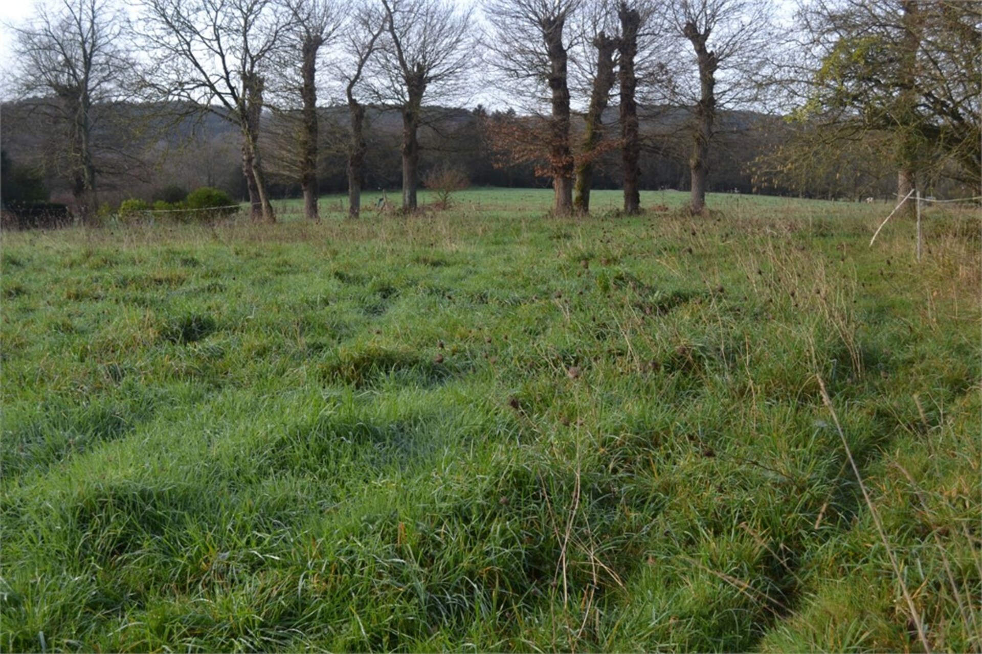 Terrain