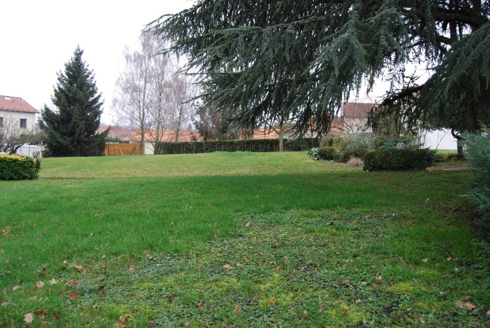 Terrain