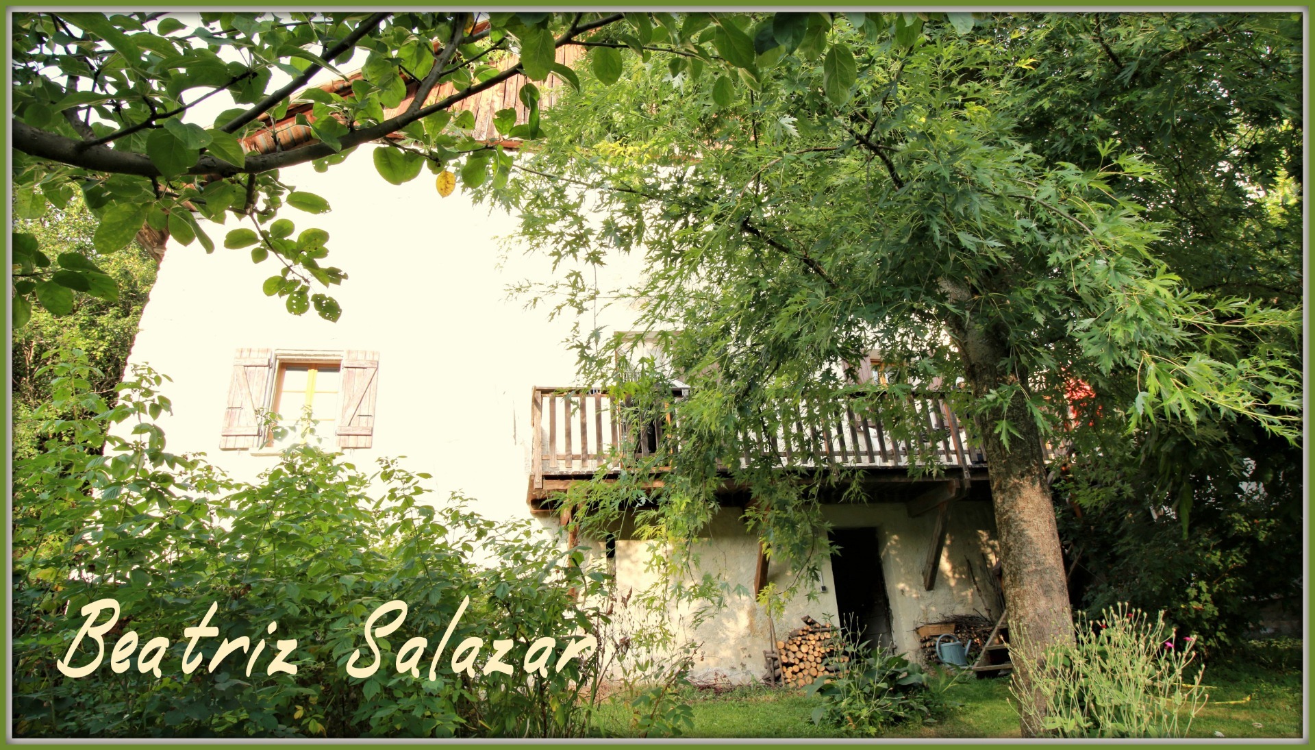 Maison