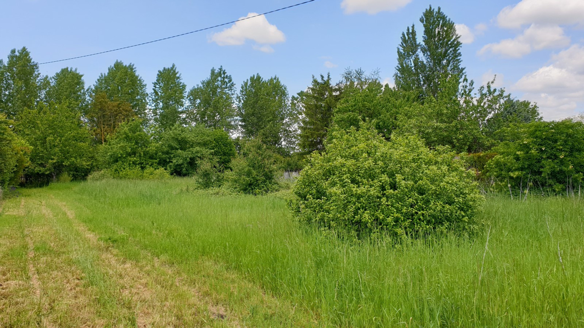 Terrain