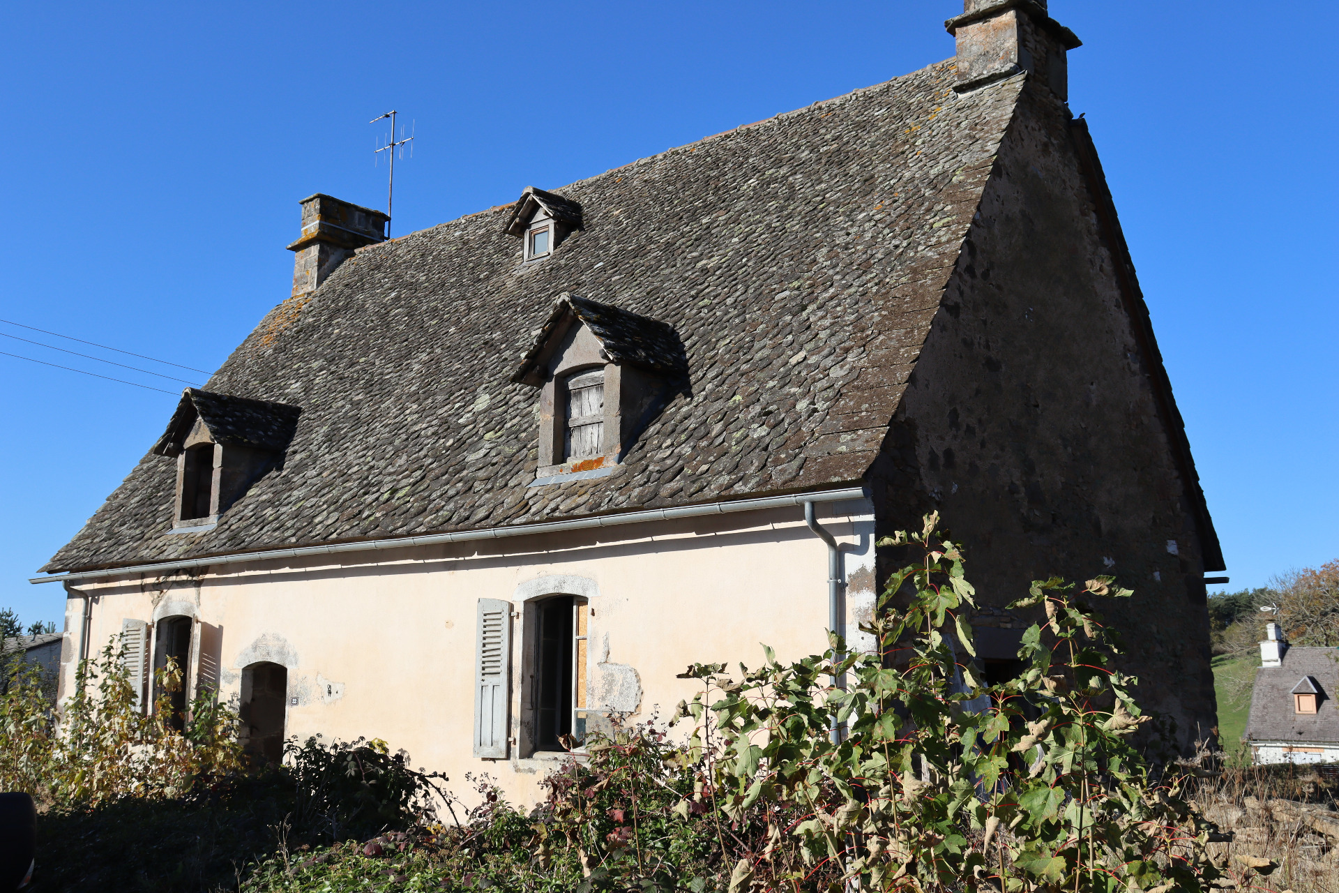 Maison