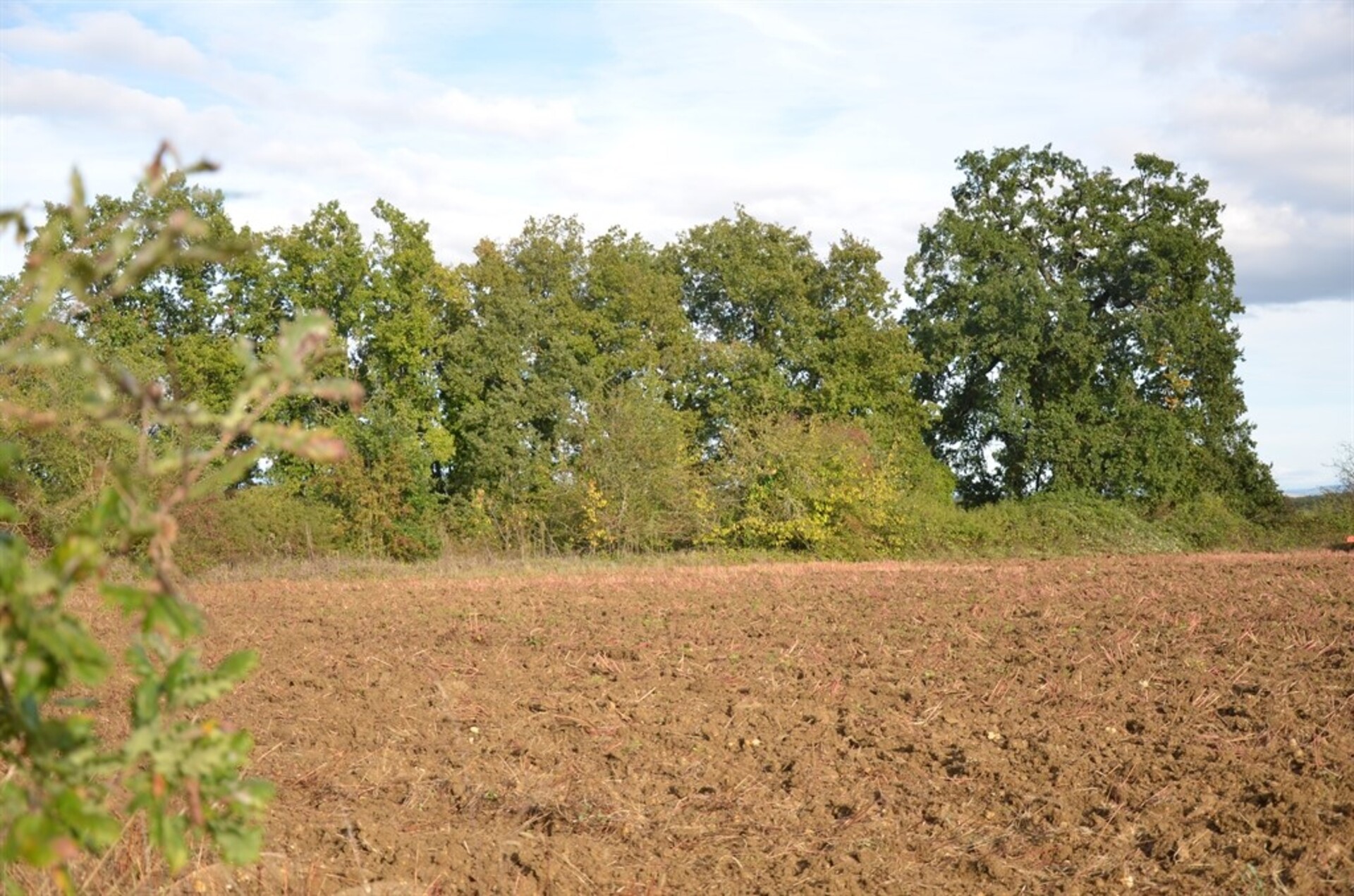 Terrain