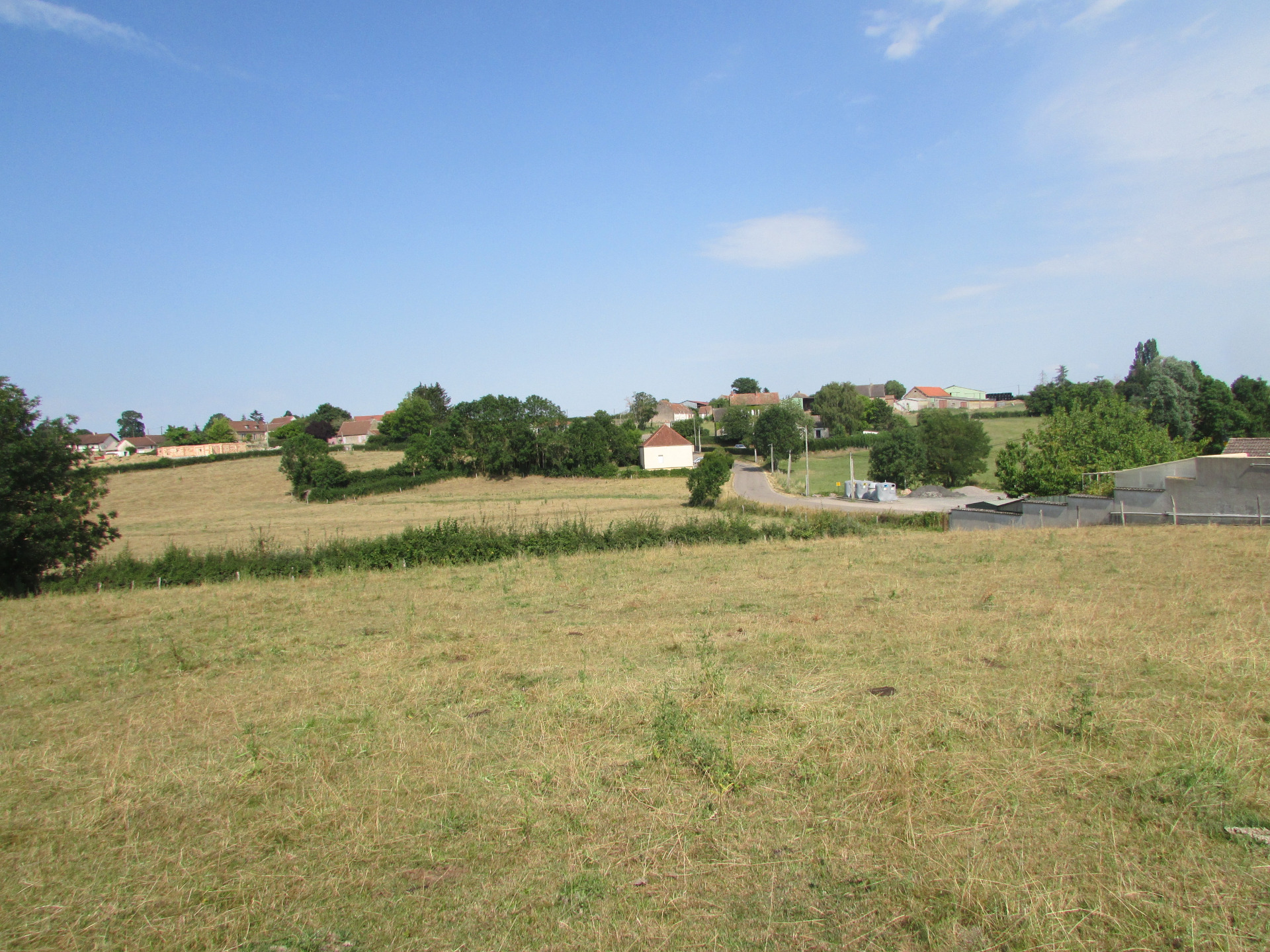 Terrain