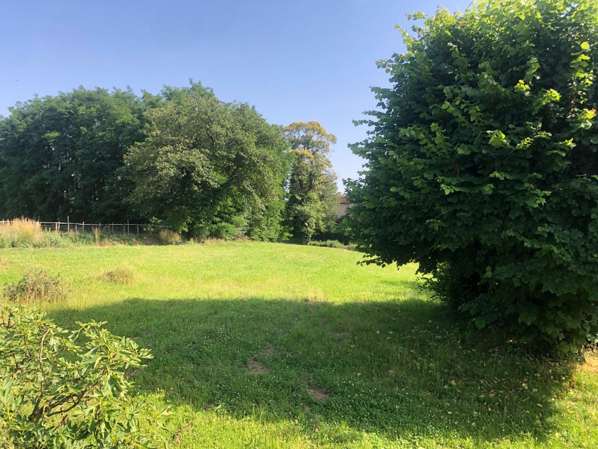 Terrain