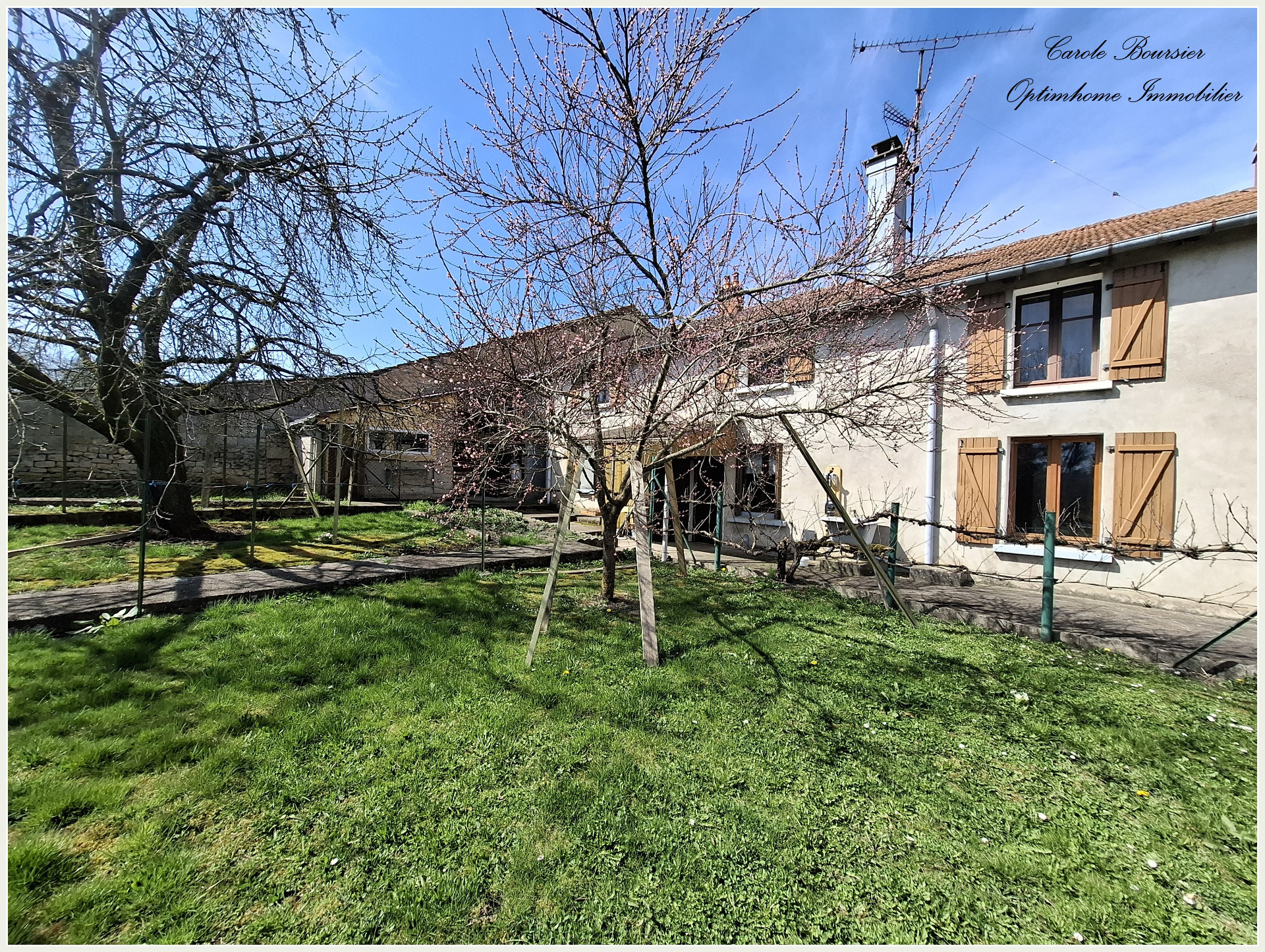 Maison