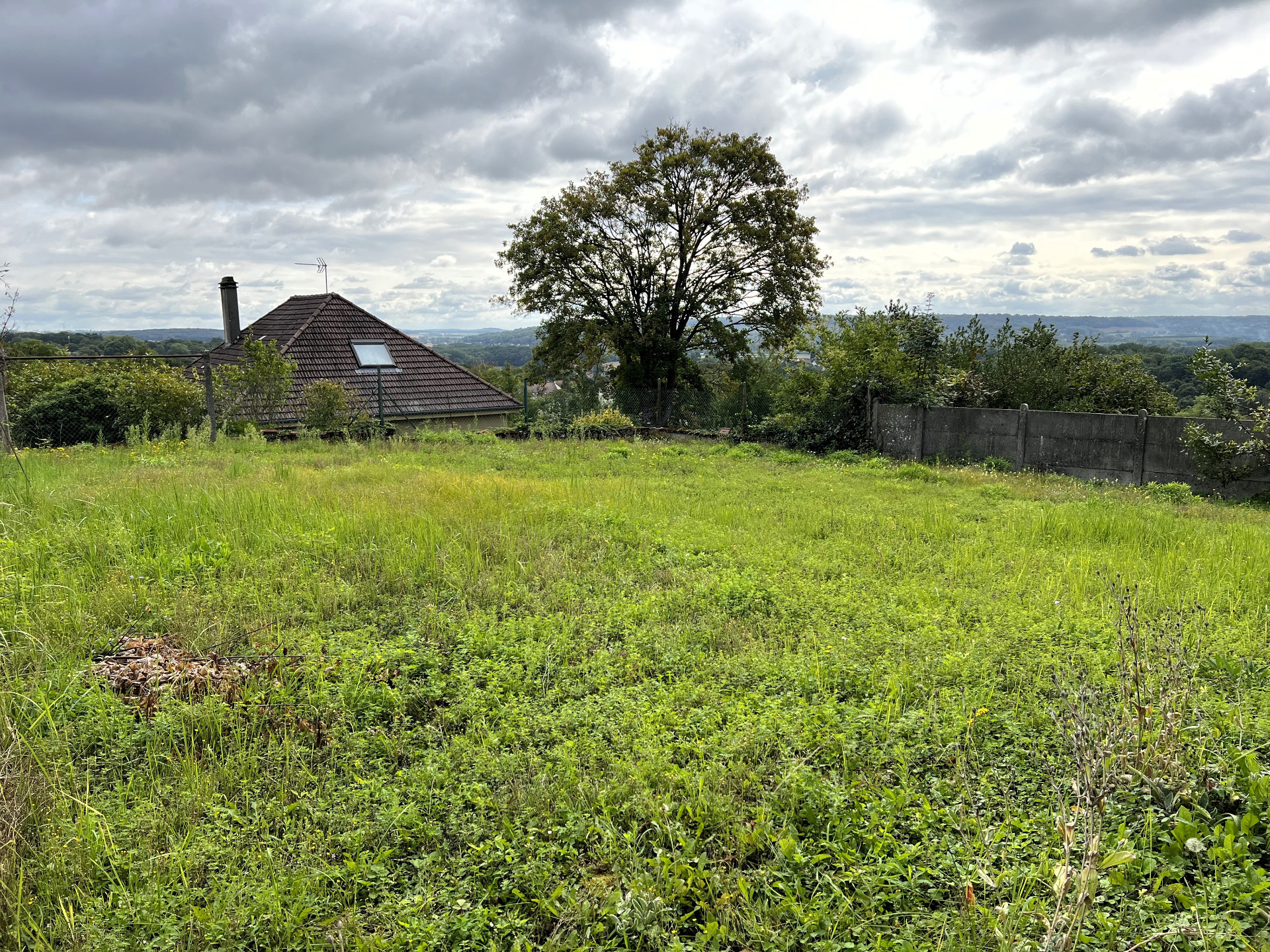 Terrain