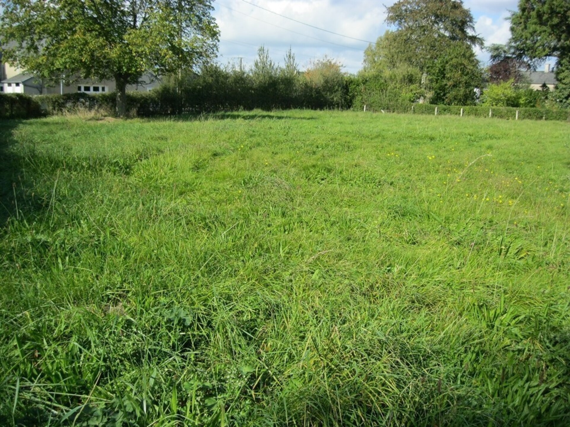 Terrain
