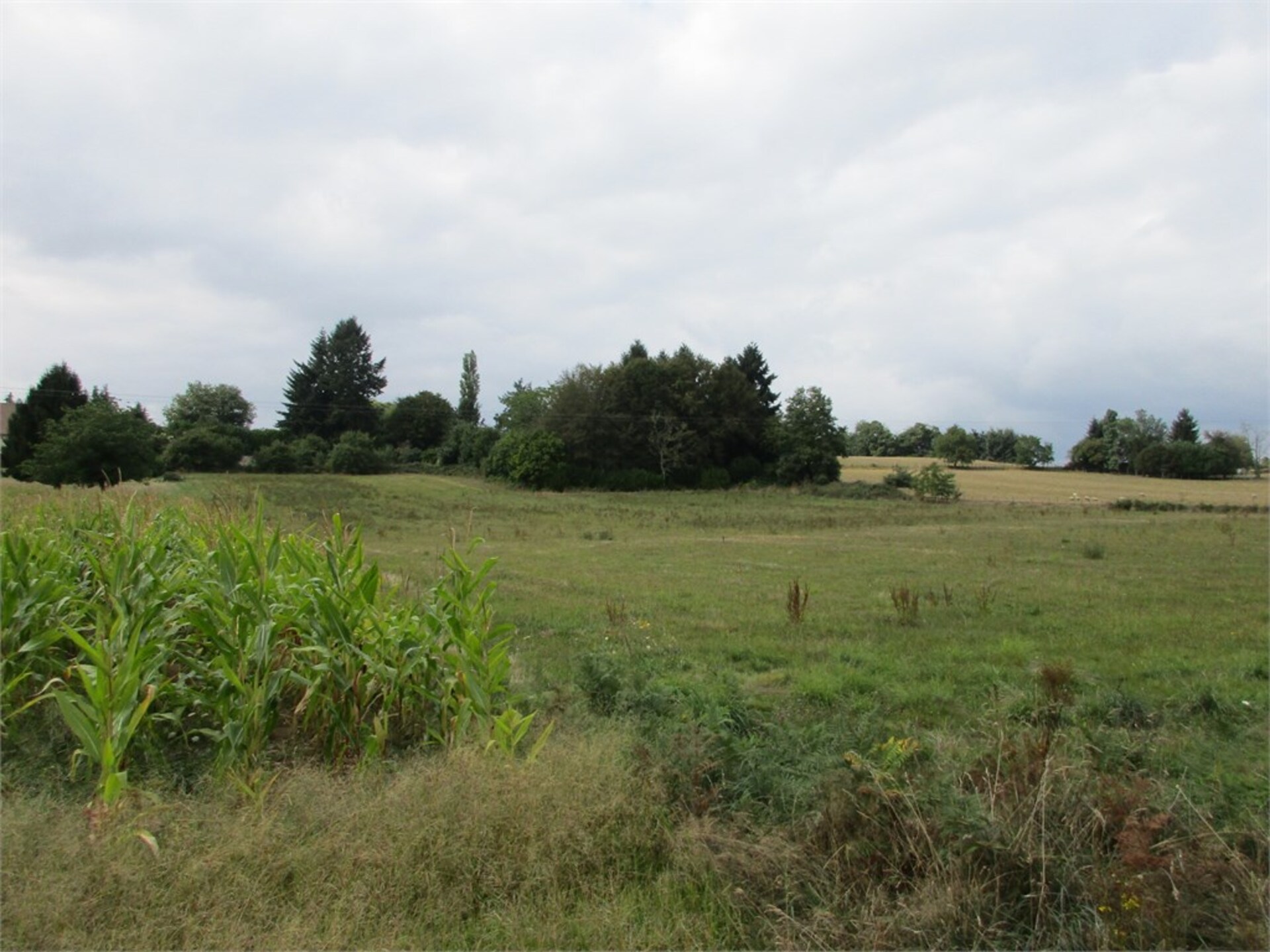 Terrain