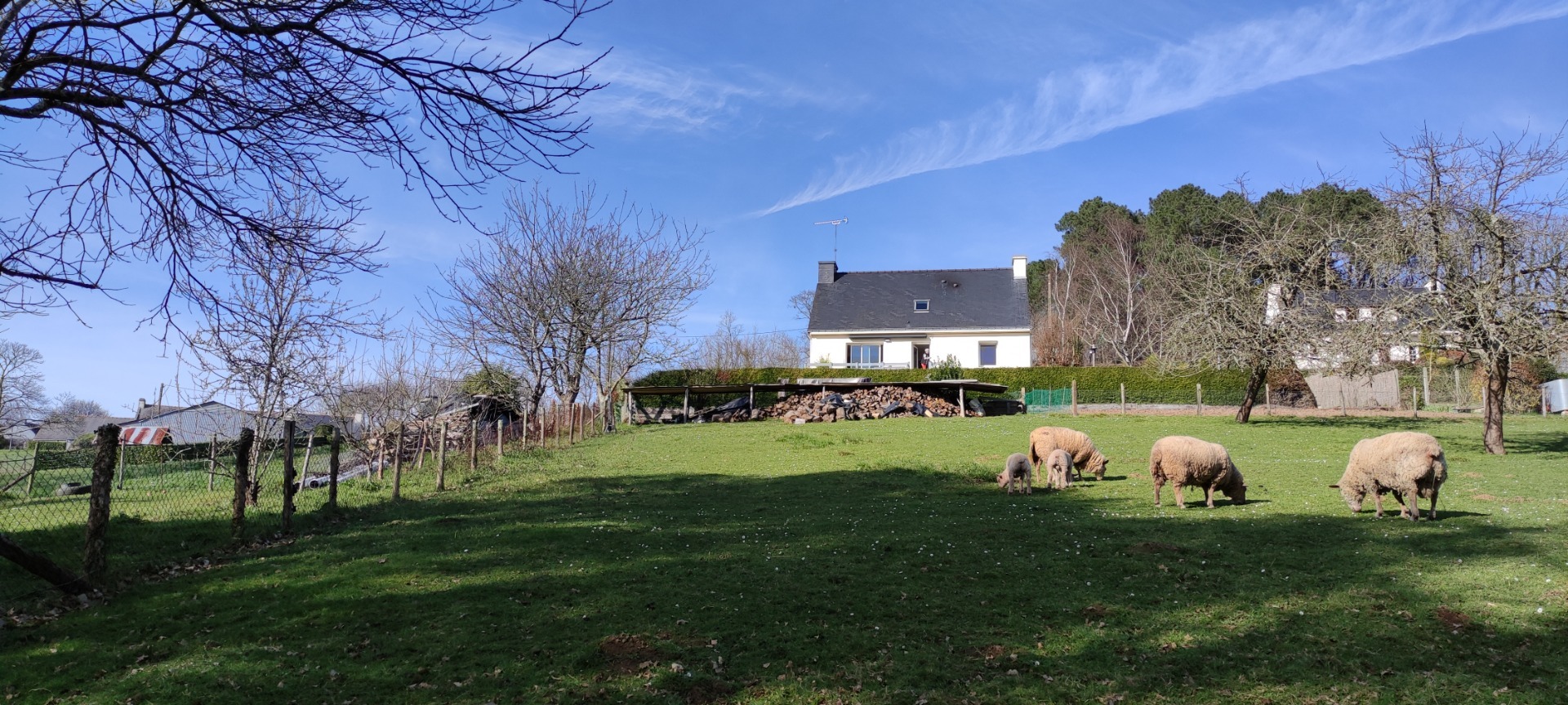 Maison