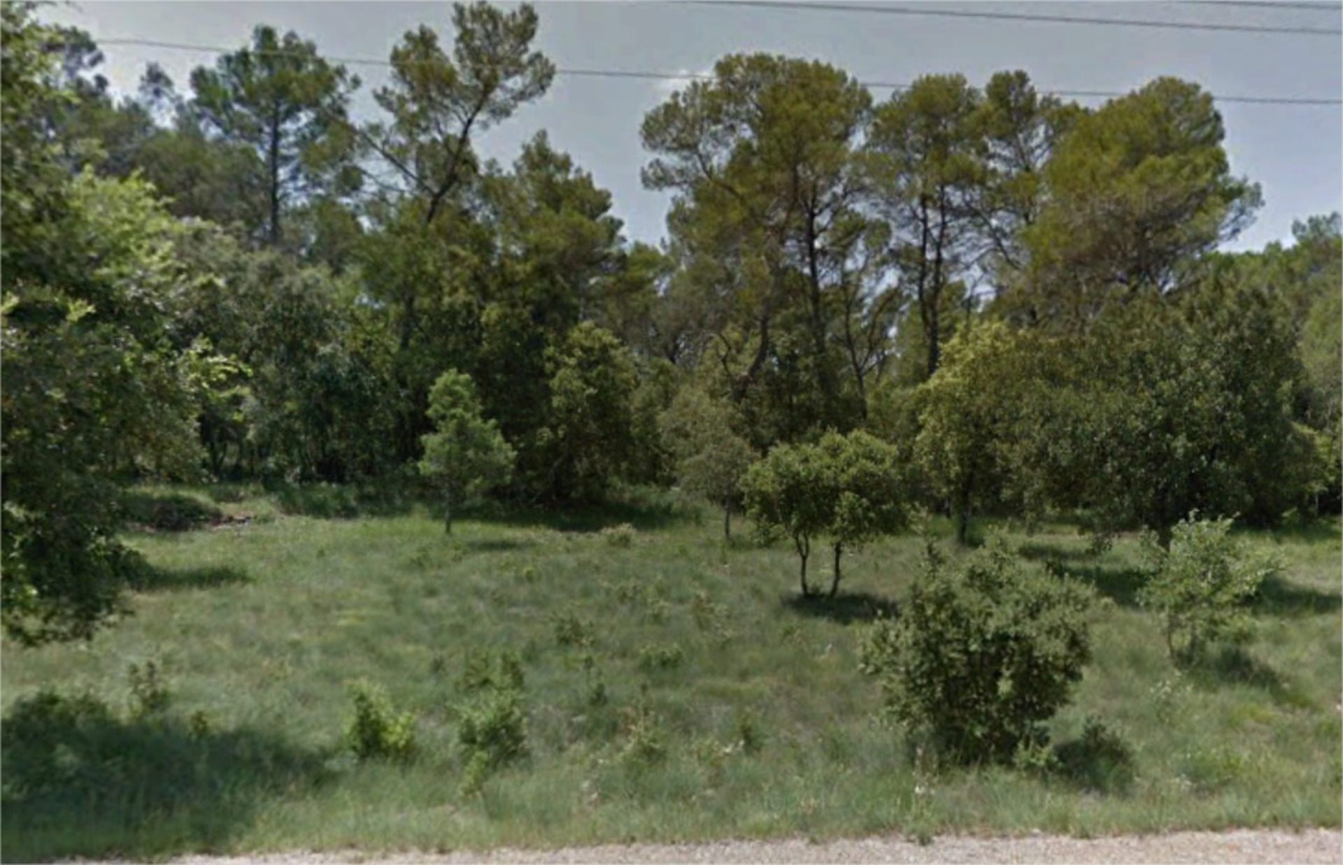 Terrain