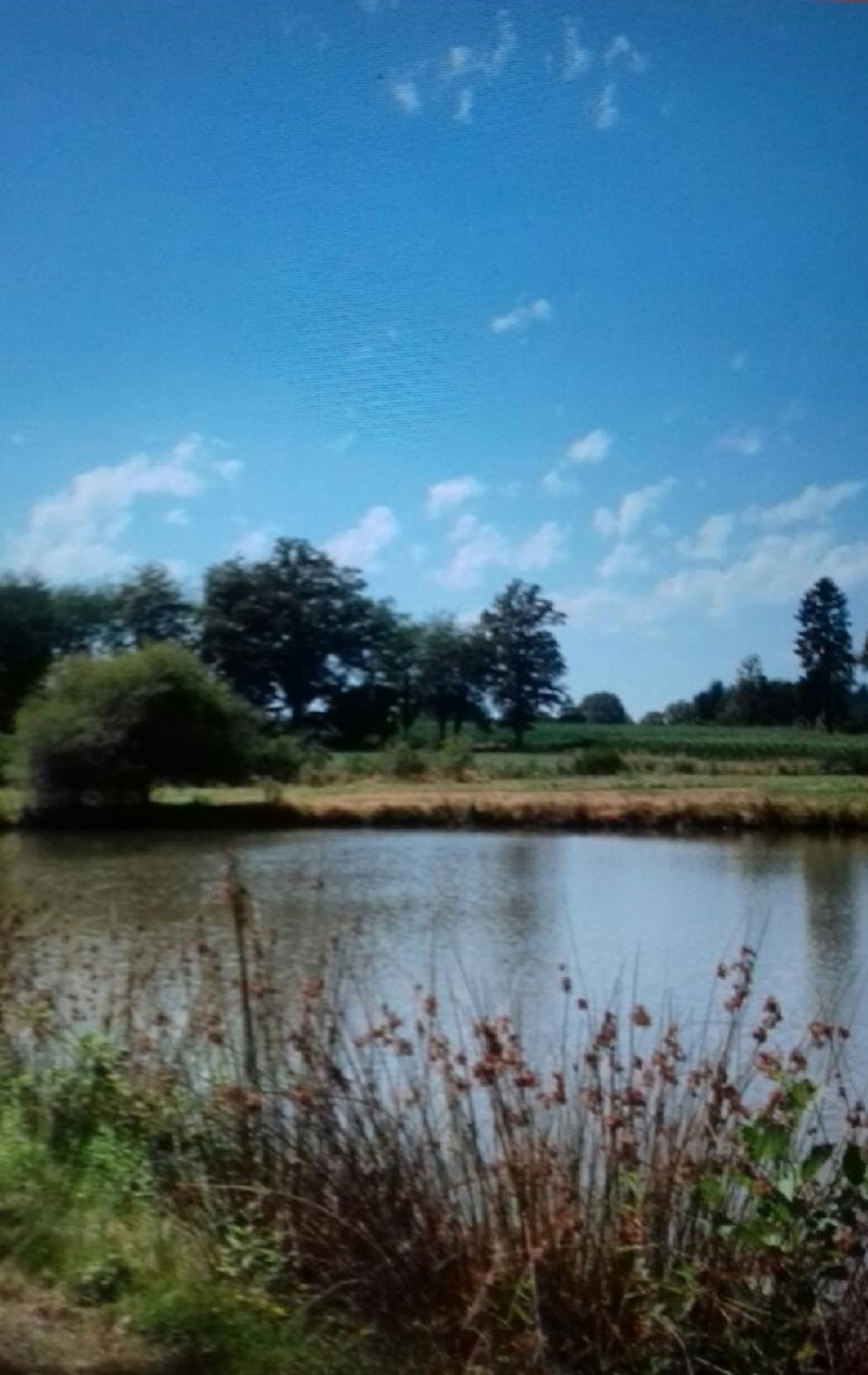 Terrain