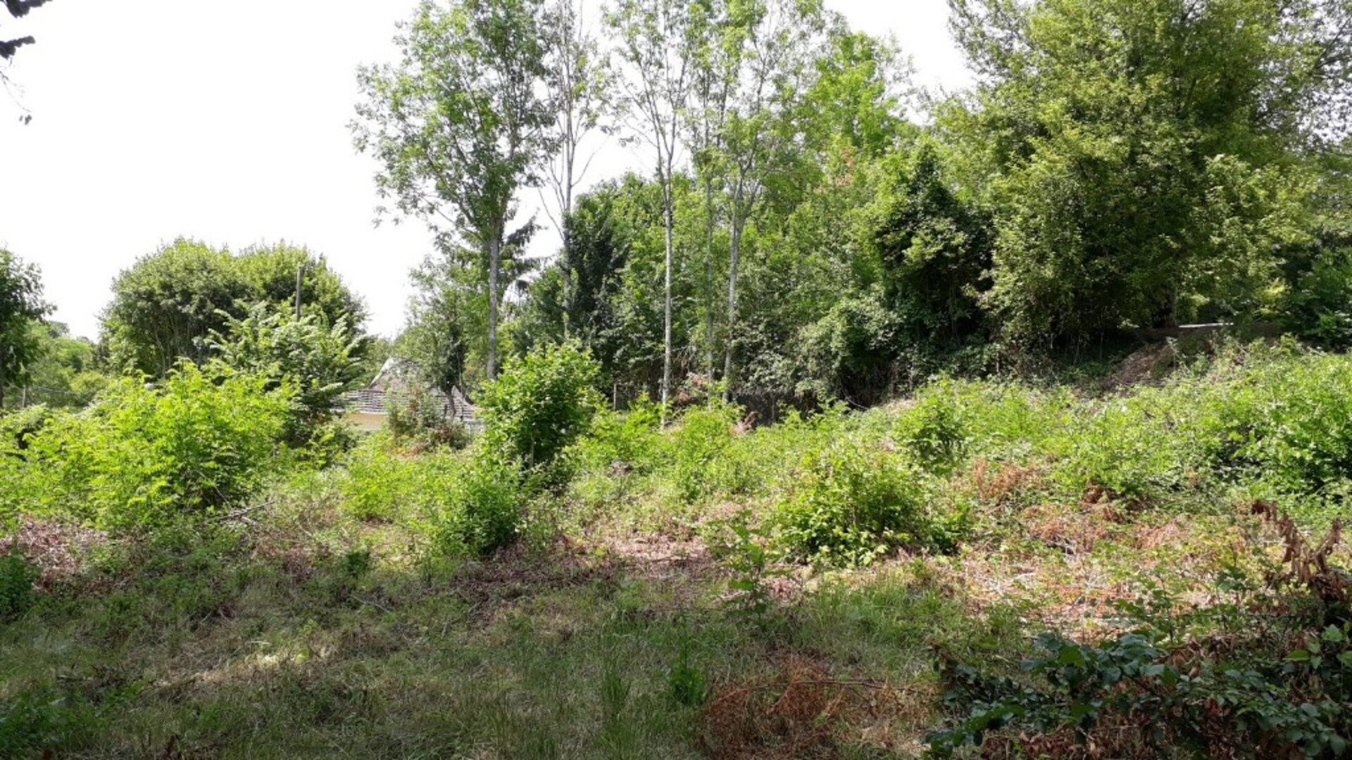 Terrain